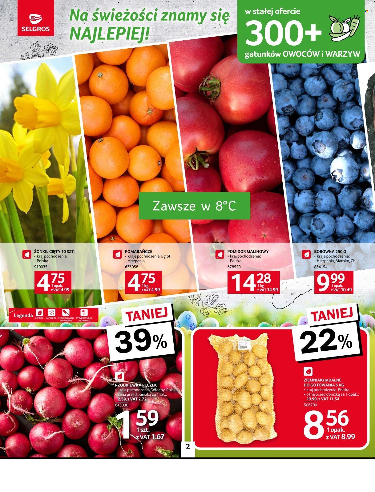 Gazetka Selgros - 10.04.2025 - 23.04.2025. Strona 2