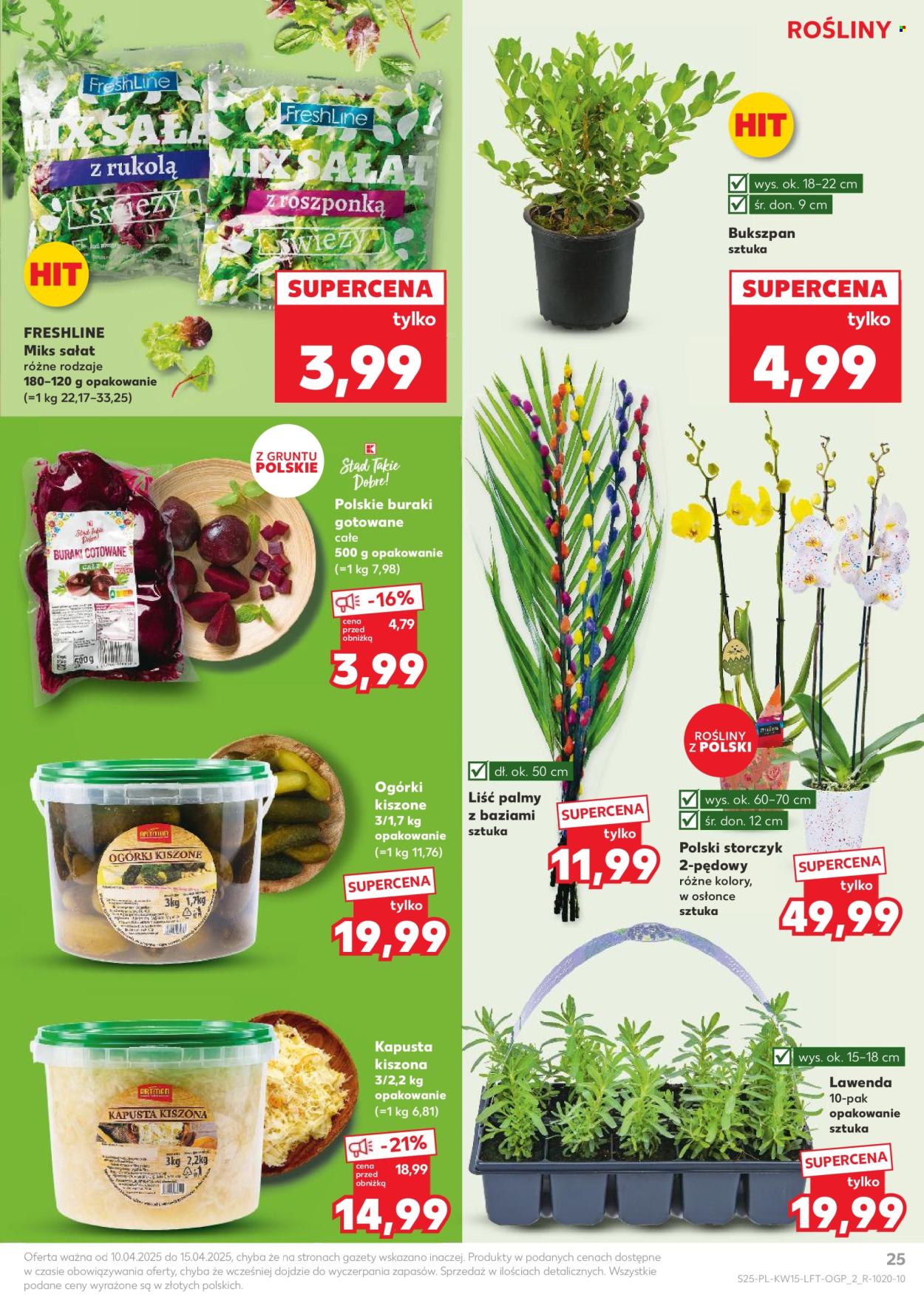 Gazetka Kaufland - 10.04.2025 - 15.04.2025. Strona 25