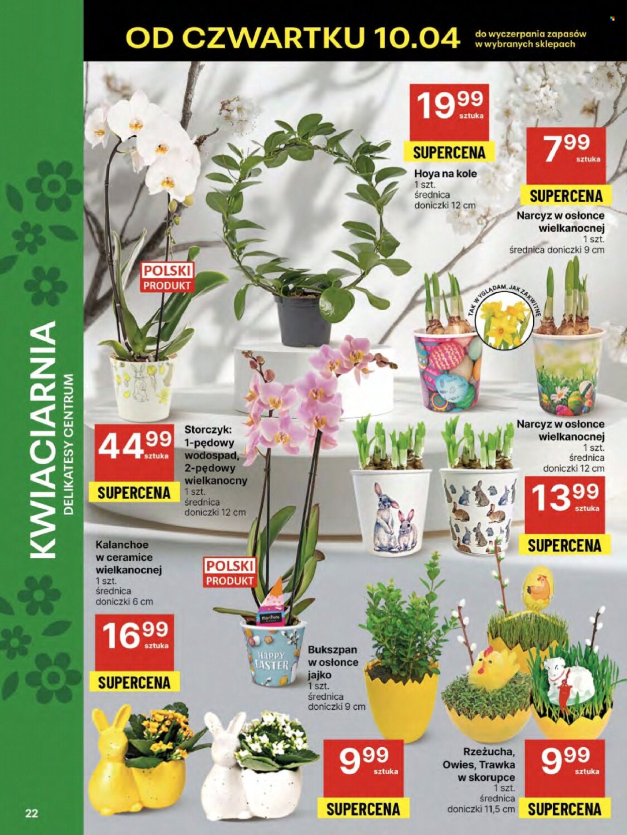 Gazetka Delikatesy Centrum - 10.04.2025 - 16.04.2025. Strona 22