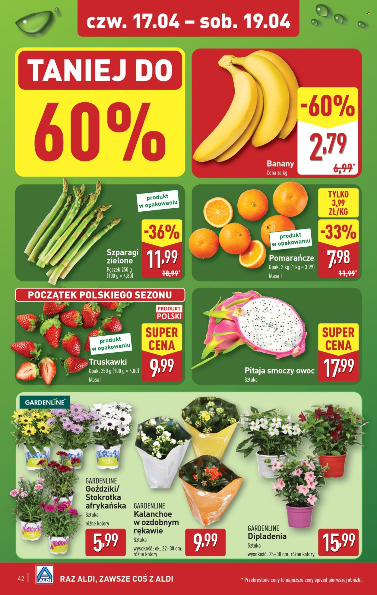 Gazetka ALDI - 14.04.2025 - 19.04.2025. Strona 42