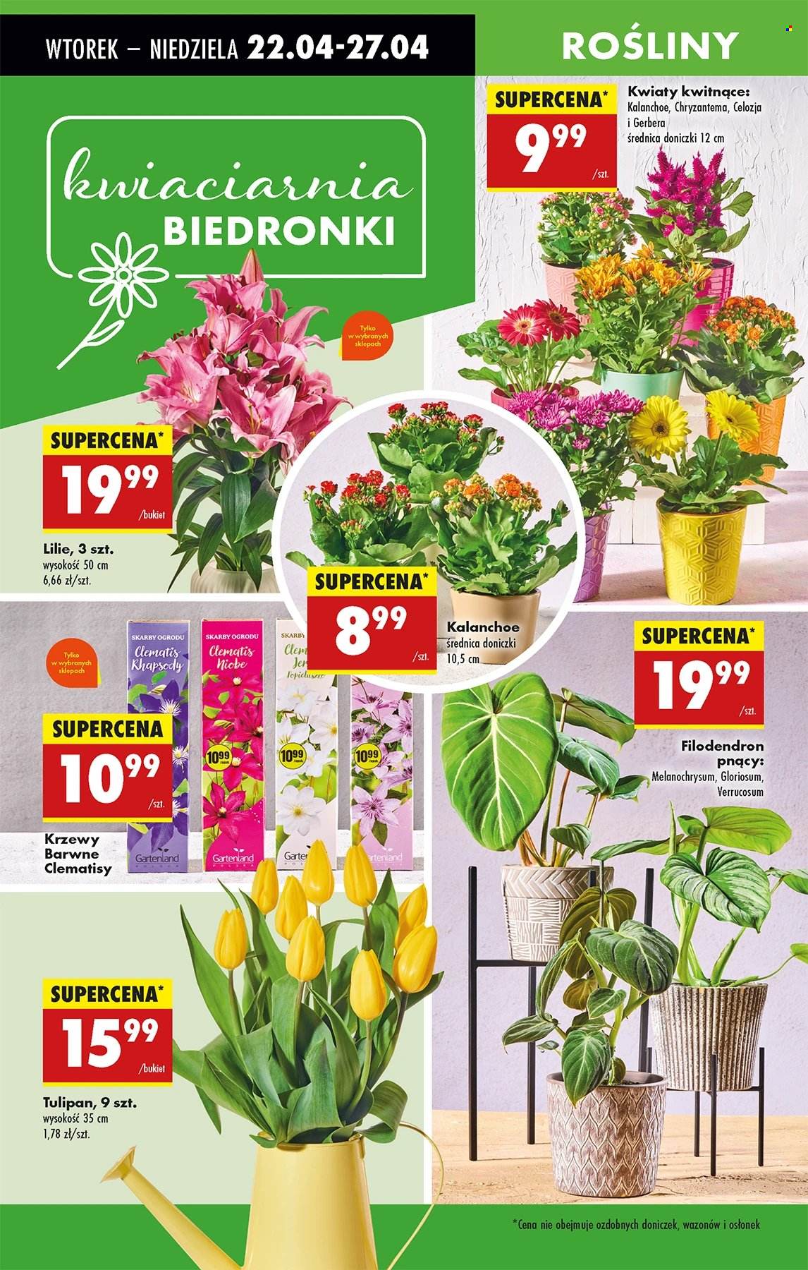 Gazetka Biedronka - 22.04.2025 - 27.04.2025. Strona 66