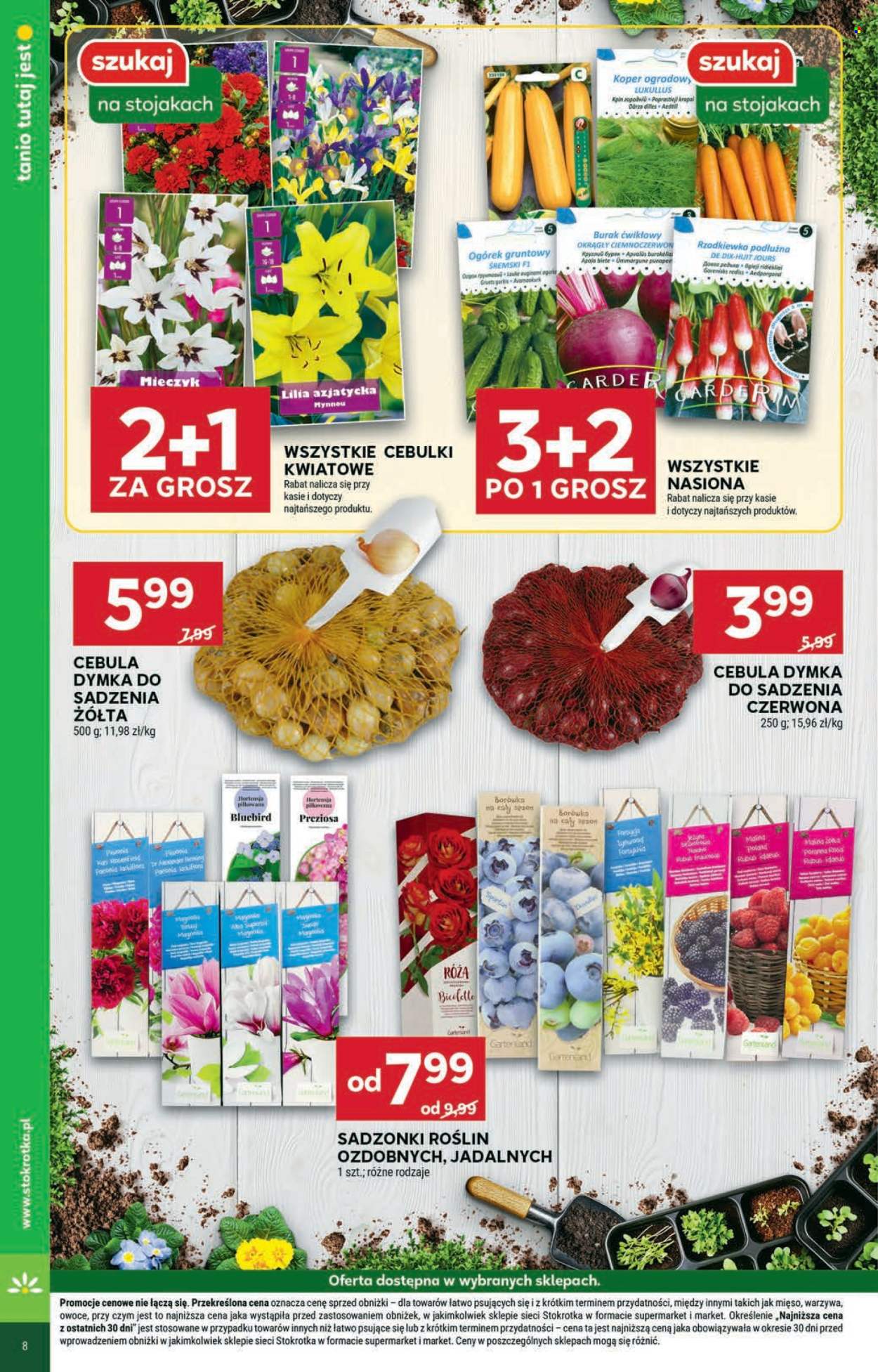 Gazetka Stokrotka Supermarket - 23.04.2025 - 28.04.2025. Strona 32