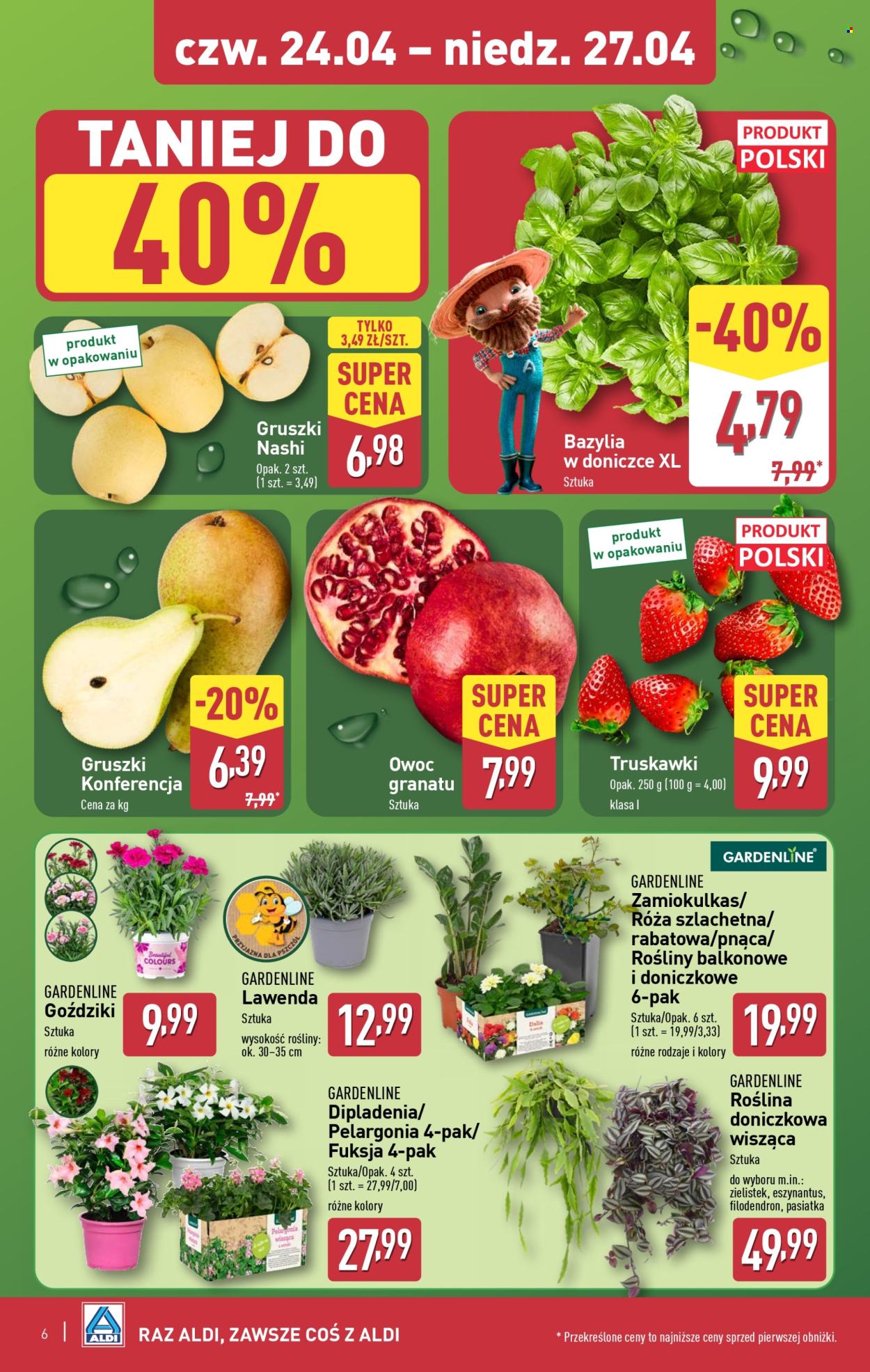 Gazetka ALDI - 24.04.2025 - 27.04.2025. Strona 6