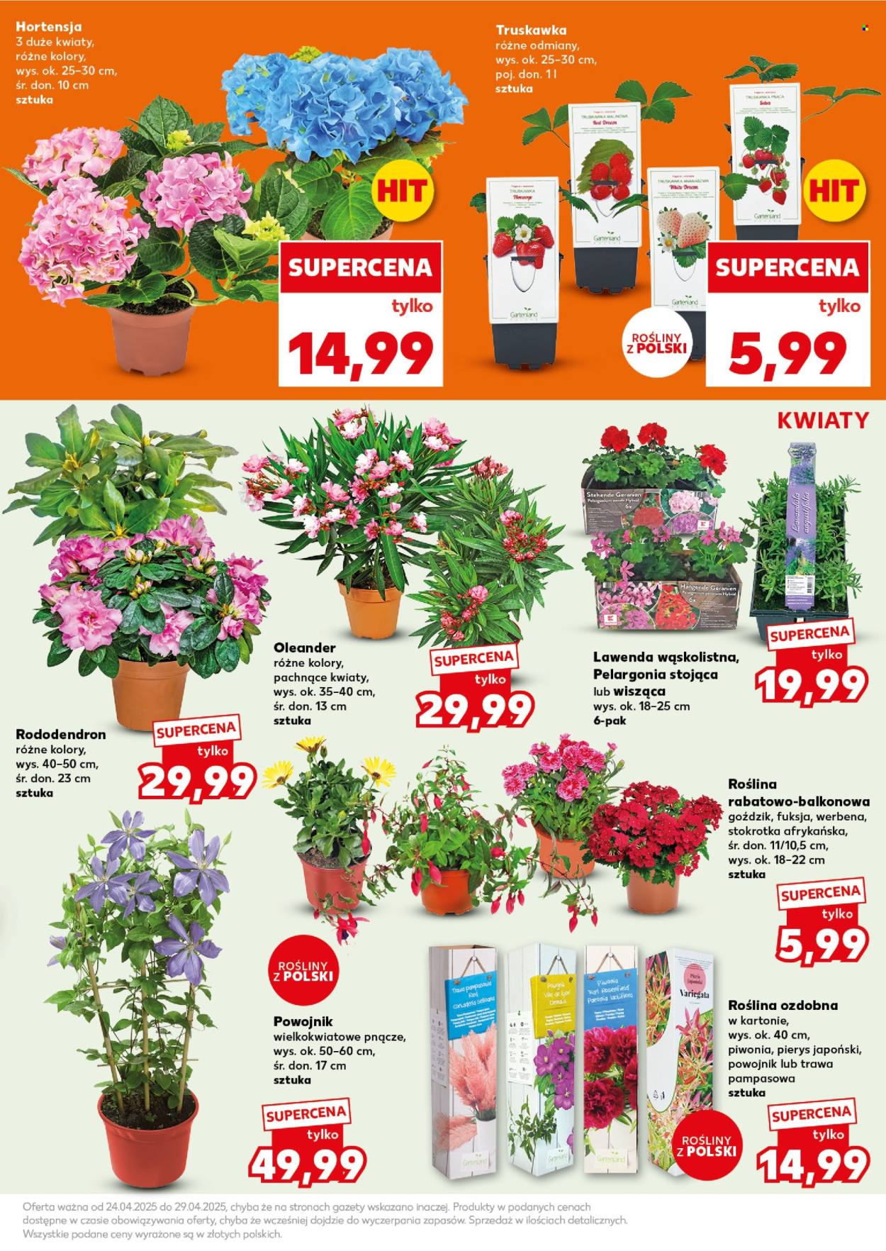 Gazetka Kaufland - 28.04.2025 - 29.04.2025. Strona 19