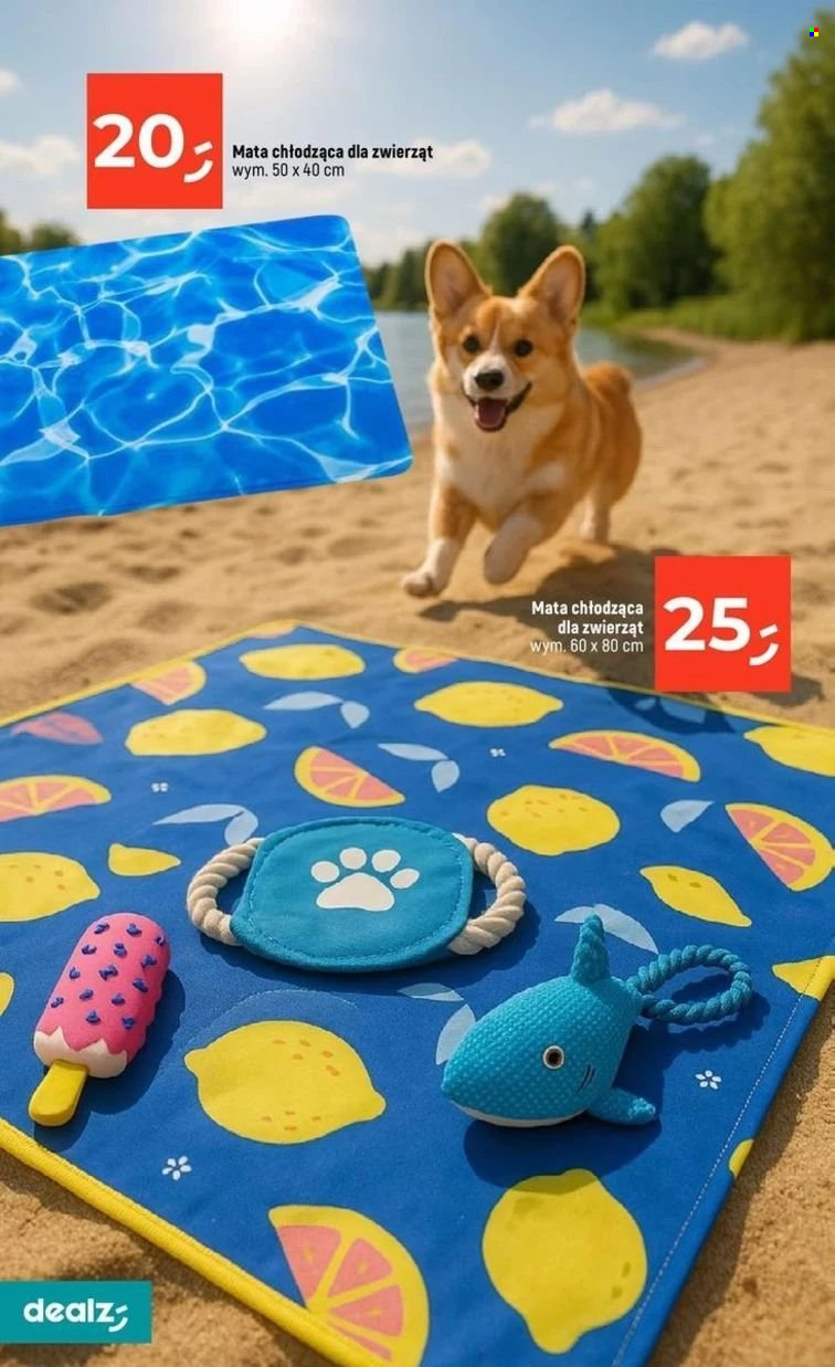 Gazetka Dealz - 30.04.2025 - 7.05.2025. Strona 25
