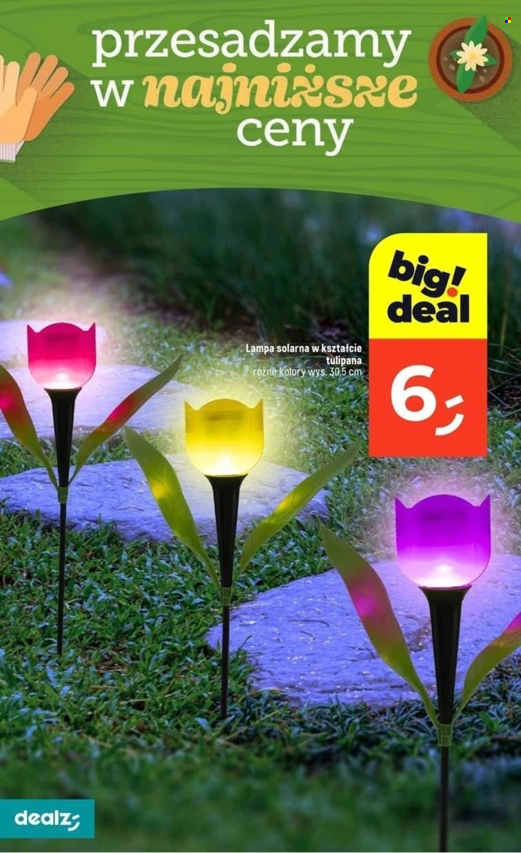 Gazetka Dealz - 30.04.2025 - 7.05.2025. Strona 37