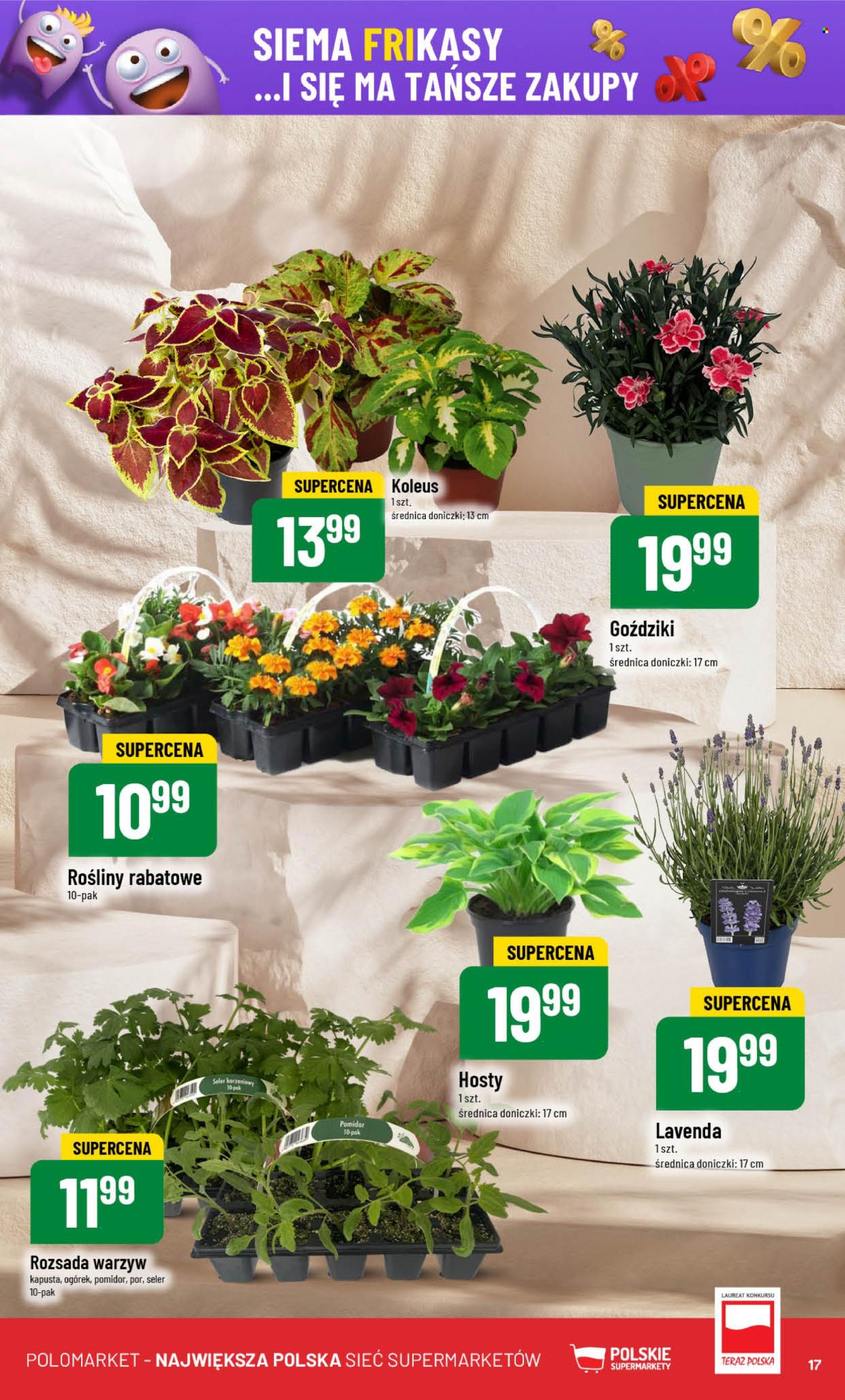 Gazetka Polomarket - 7.05.2025 - 13.05.2025. Strona 17