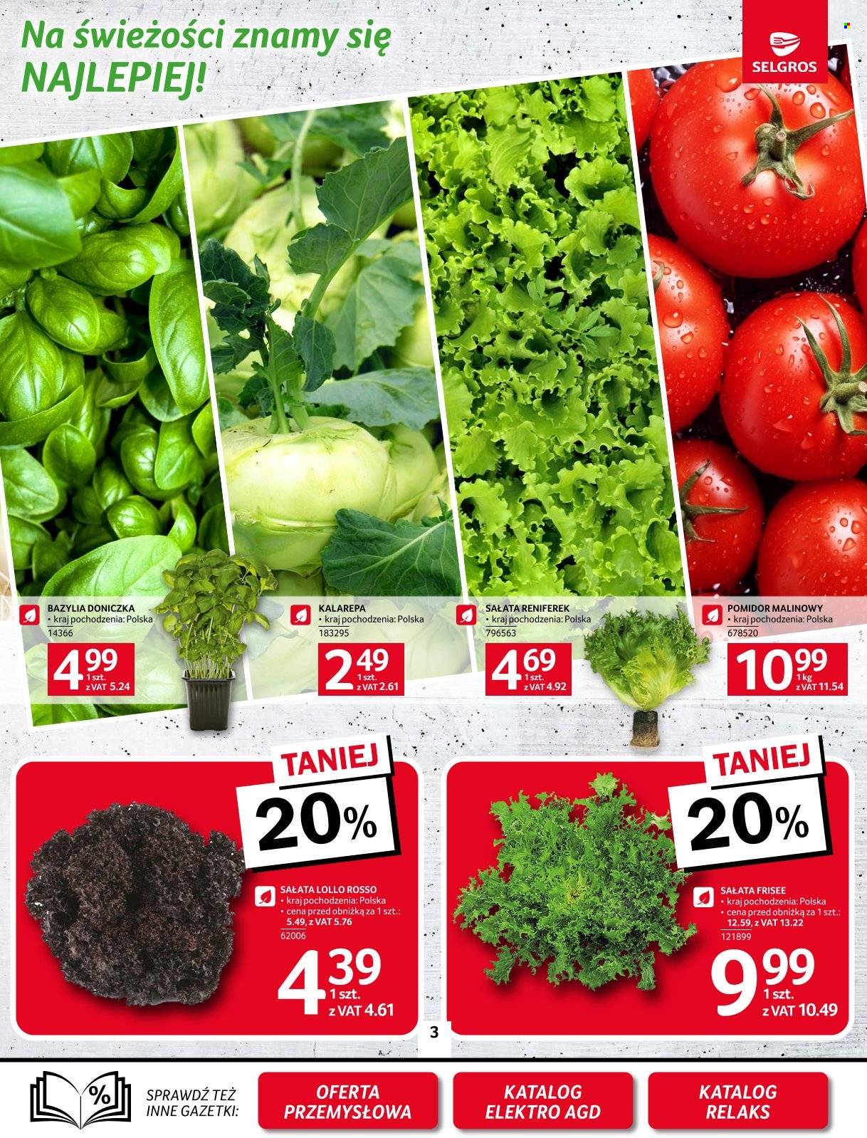 Gazetka Selgros - 8.05.2025 - 21.05.2025. Strona 3