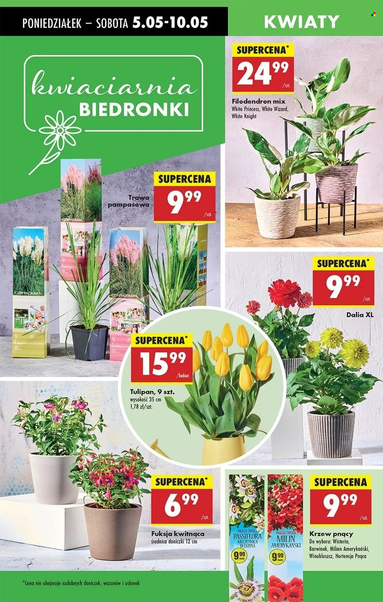 Gazetka Biedronka - 5.05.2025 - 10.05.2025. Strona 57