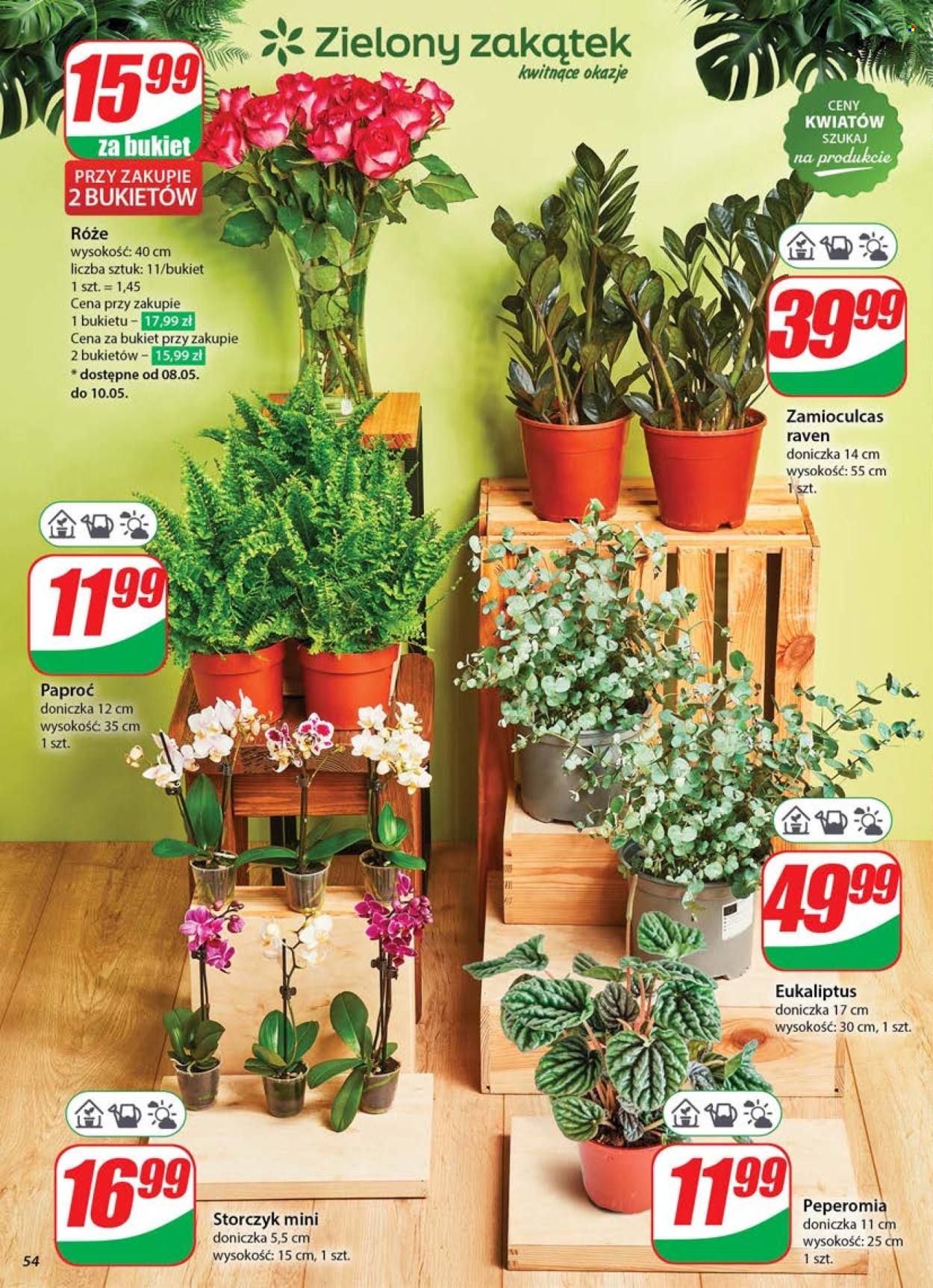 Gazetka Dino - 7.05.2025 - 13.05.2025. Strona 54