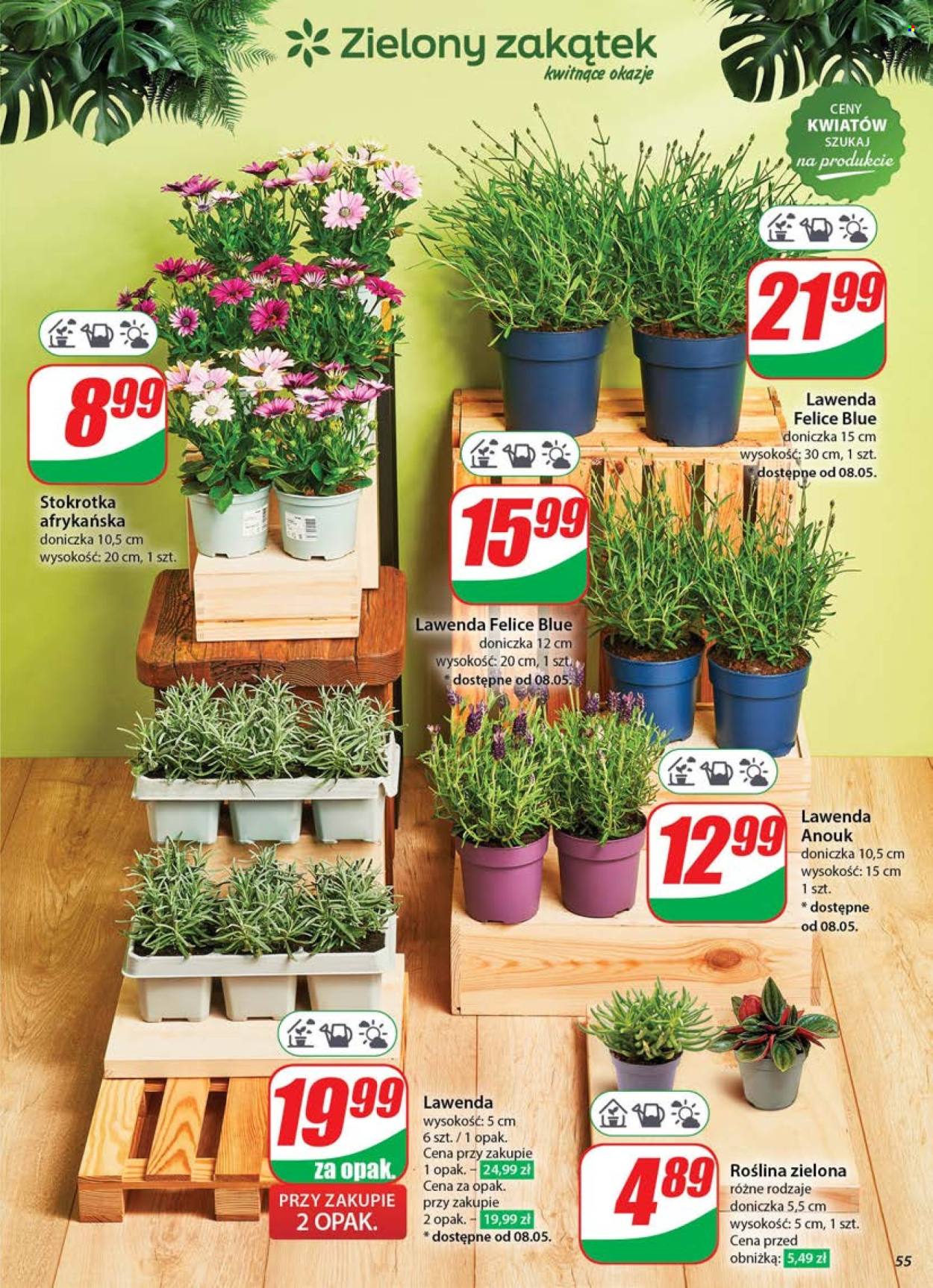 Gazetka Dino - 7.05.2025 - 13.05.2025. Strona 55