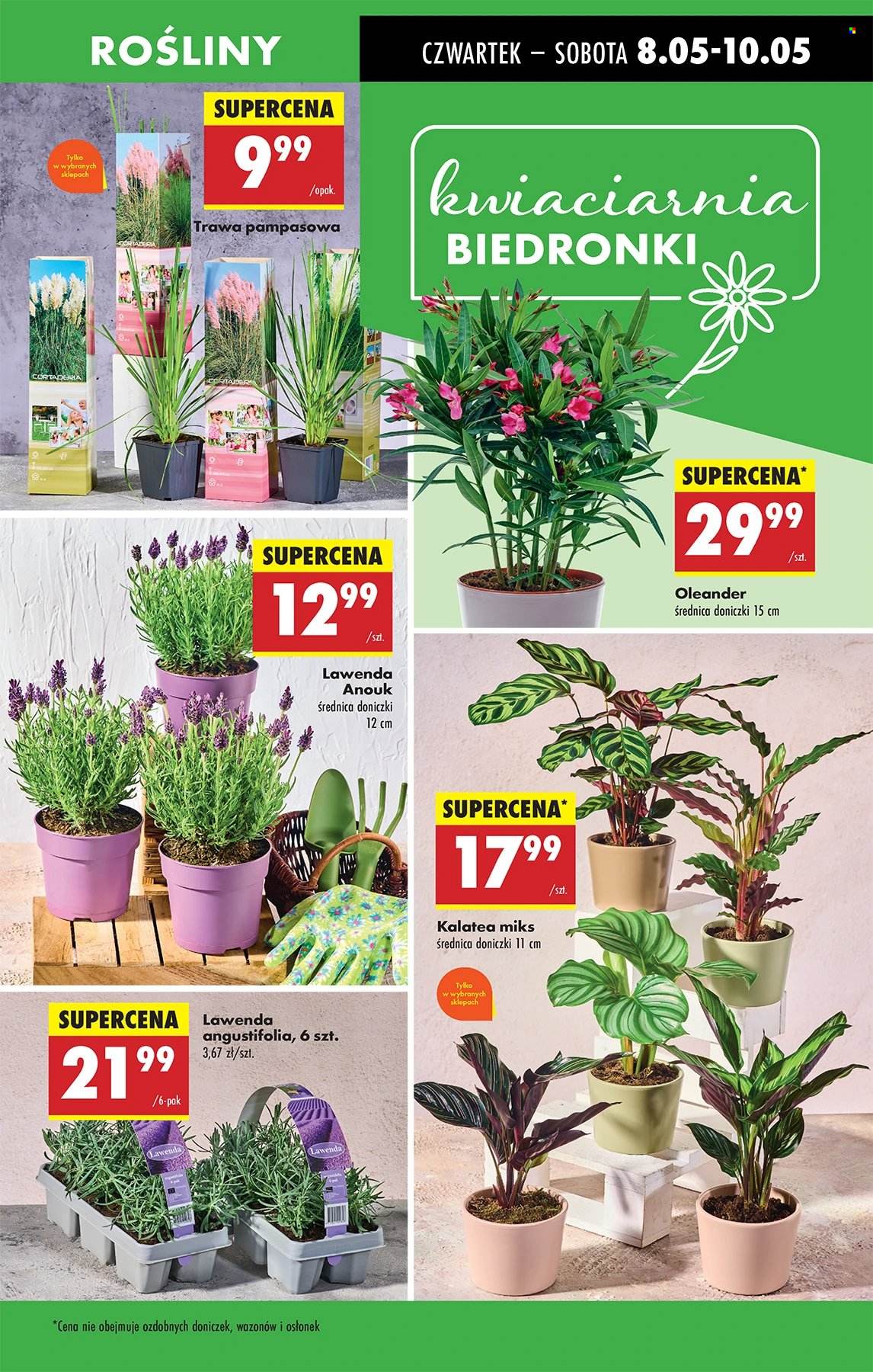 Gazetka Biedronka - 8.05.2025 - 14.05.2025. Strona 68