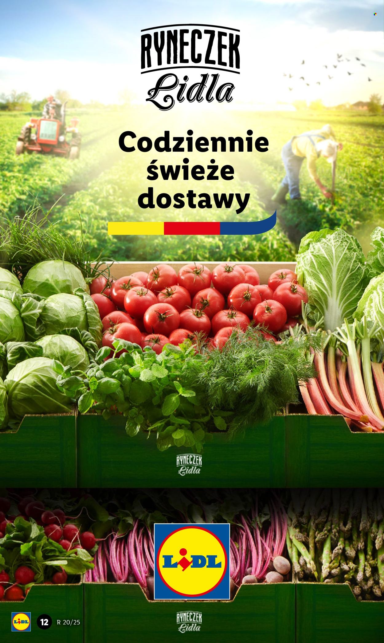 Gazetka Lidl - 12.05.2025 - 14.05.2025. Strona 15