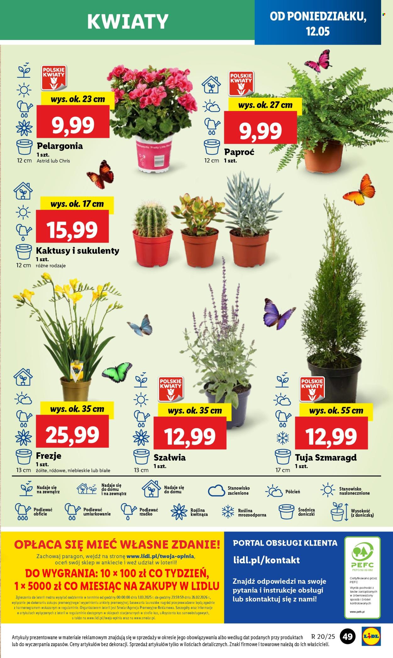 Gazetka Lidl - 12.05.2025 - 14.05.2025. Strona 59