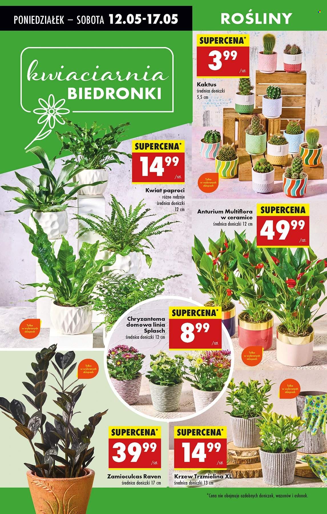 Gazetka Biedronka - 12.05.2025 - 17.05.2025. Strona 64