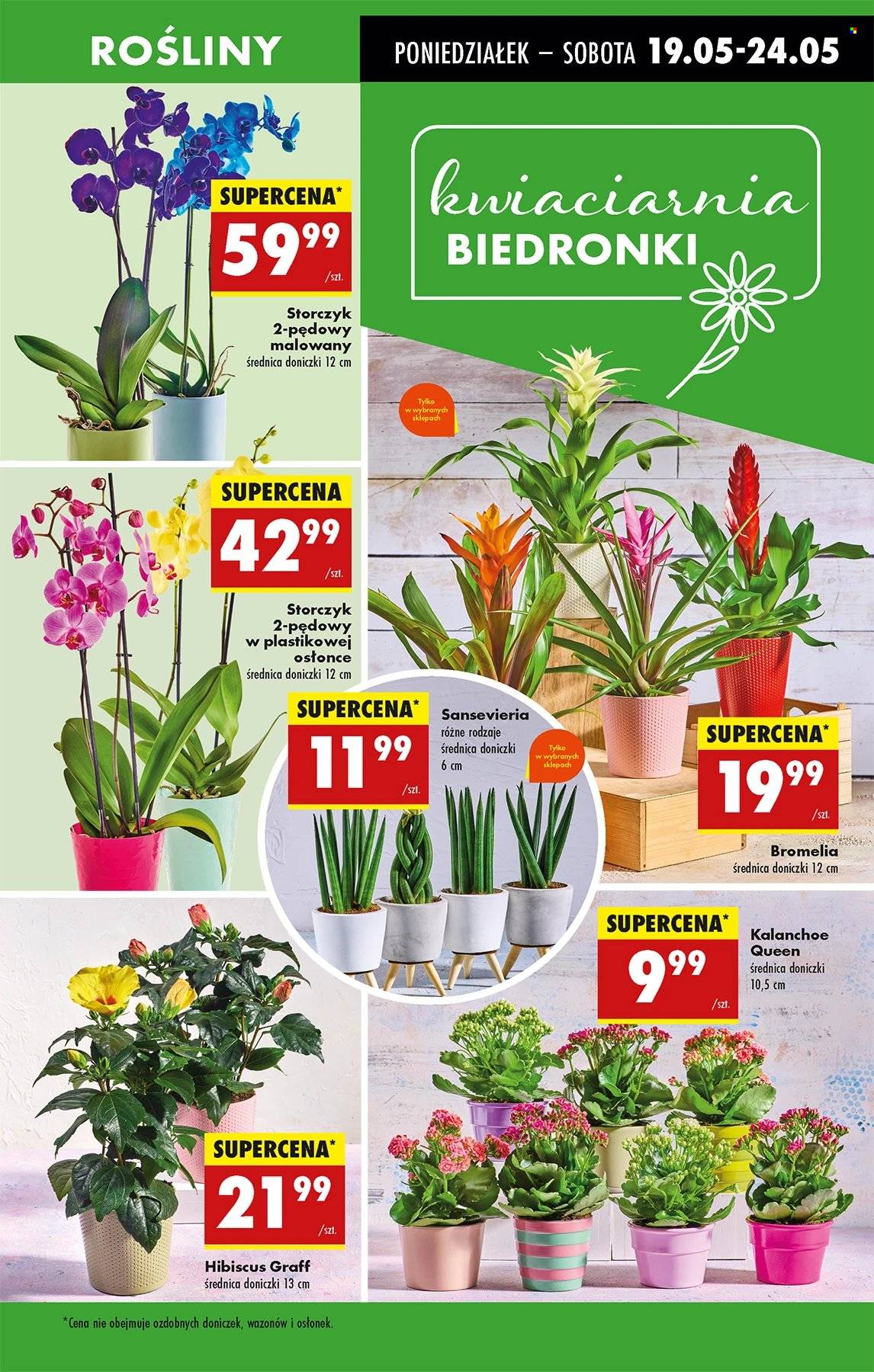 Gazetka Biedronka - 19.05.2025 - 24.05.2025. Strona 19