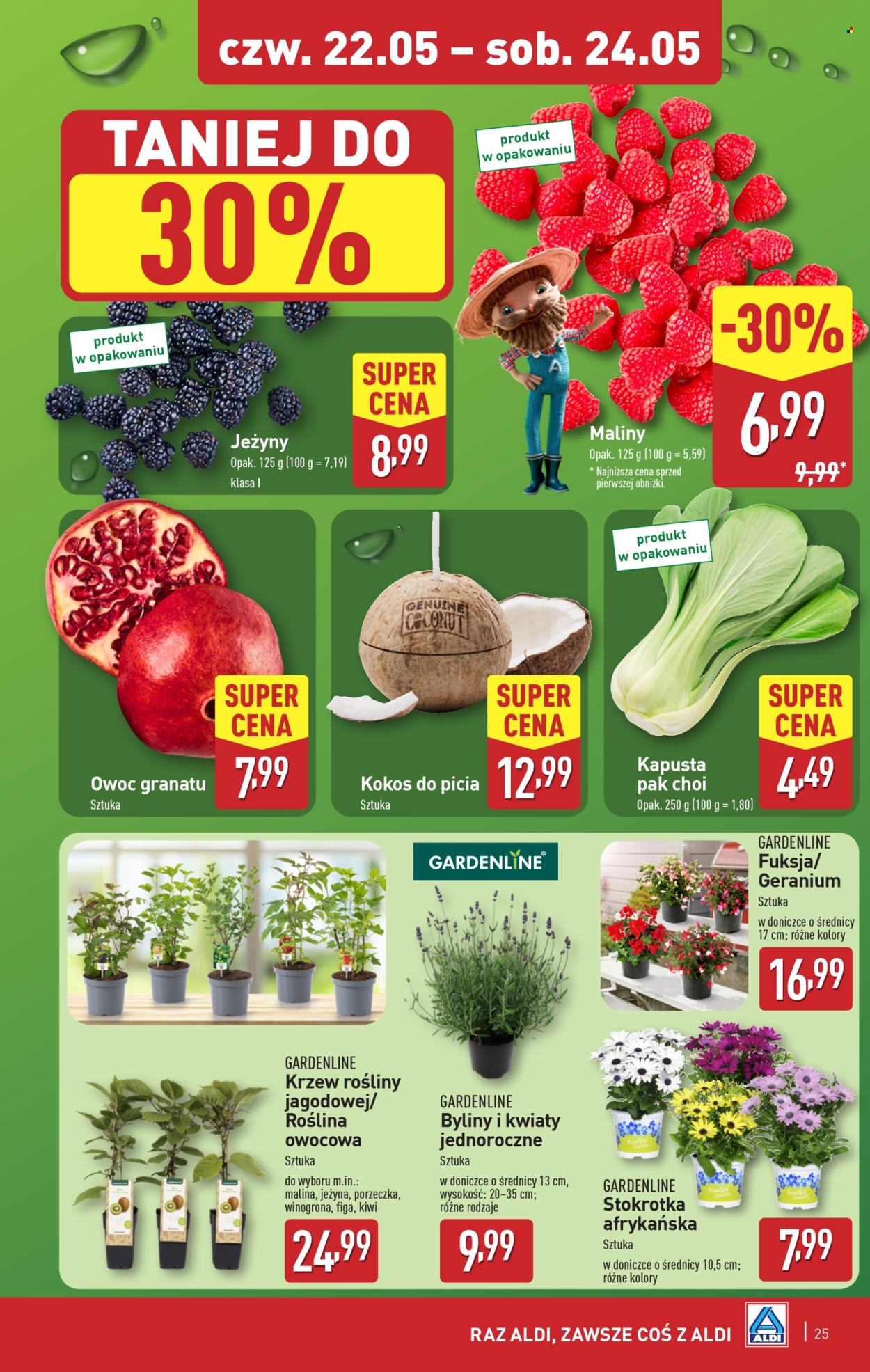 Gazetka ALDI - 19.05.2025 - 24.05.2025. Strona 25