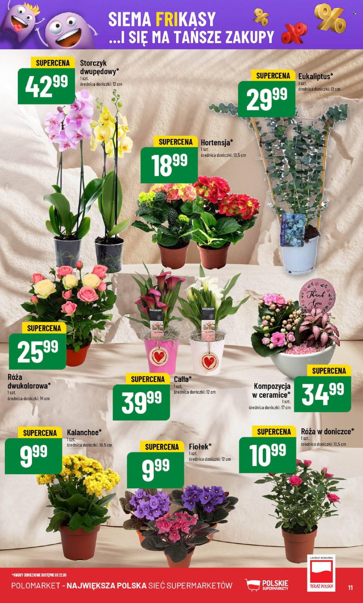 Gazetka Polomarket - 21.05.2025 - 27.05.2025. Strona 11