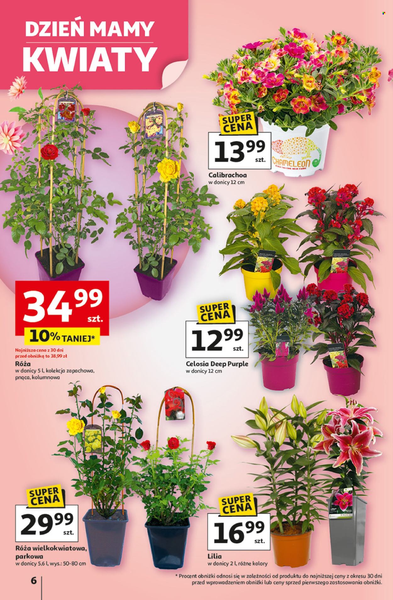 Gazetka Auchan - 22.05.2025 - 28.05.2025. Strona 6
