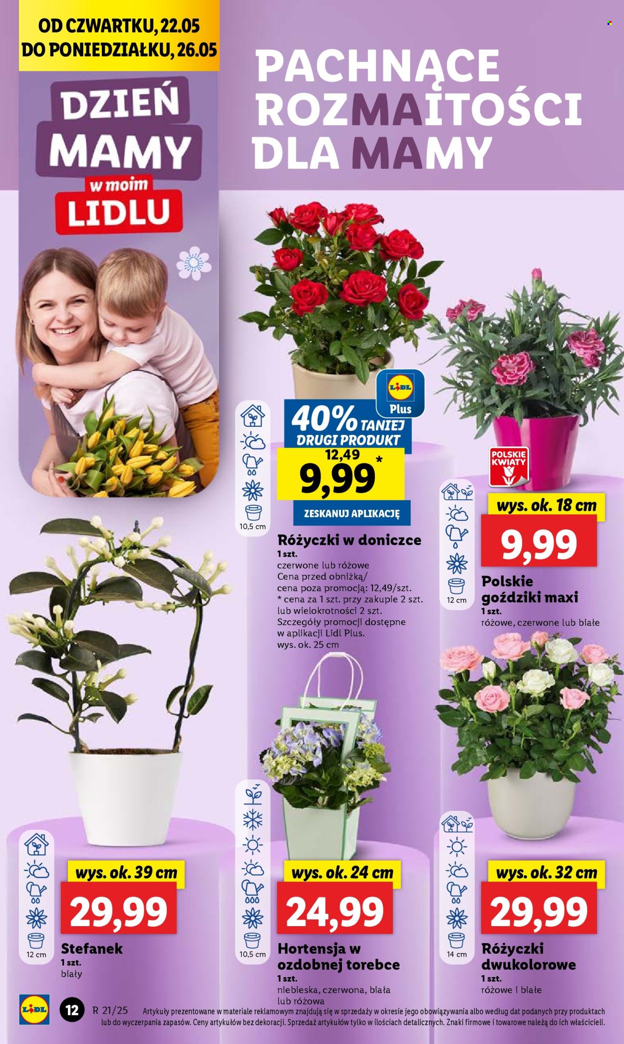 Gazetka Lidl - 22.05.2025 - 24.05.2025. Strona 14