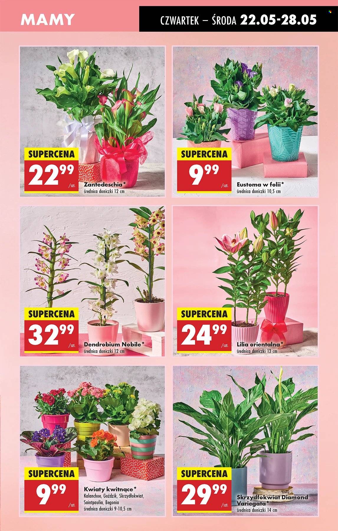Gazetka Biedronka - 22.05.2025 - 28.05.2025. Strona 9