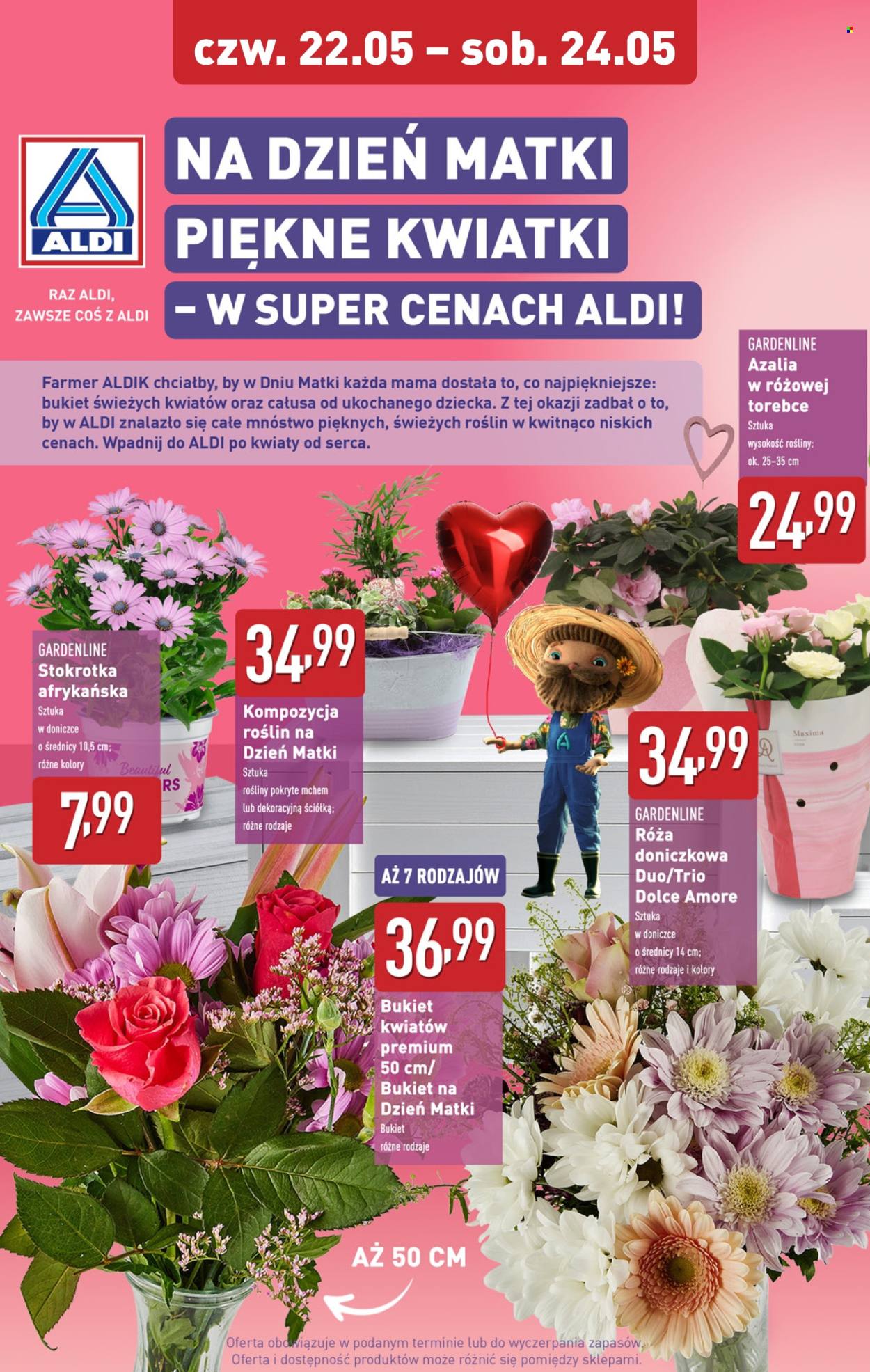 Gazetka ALDI - 22.05.2025 - 24.05.2025. Strona 8