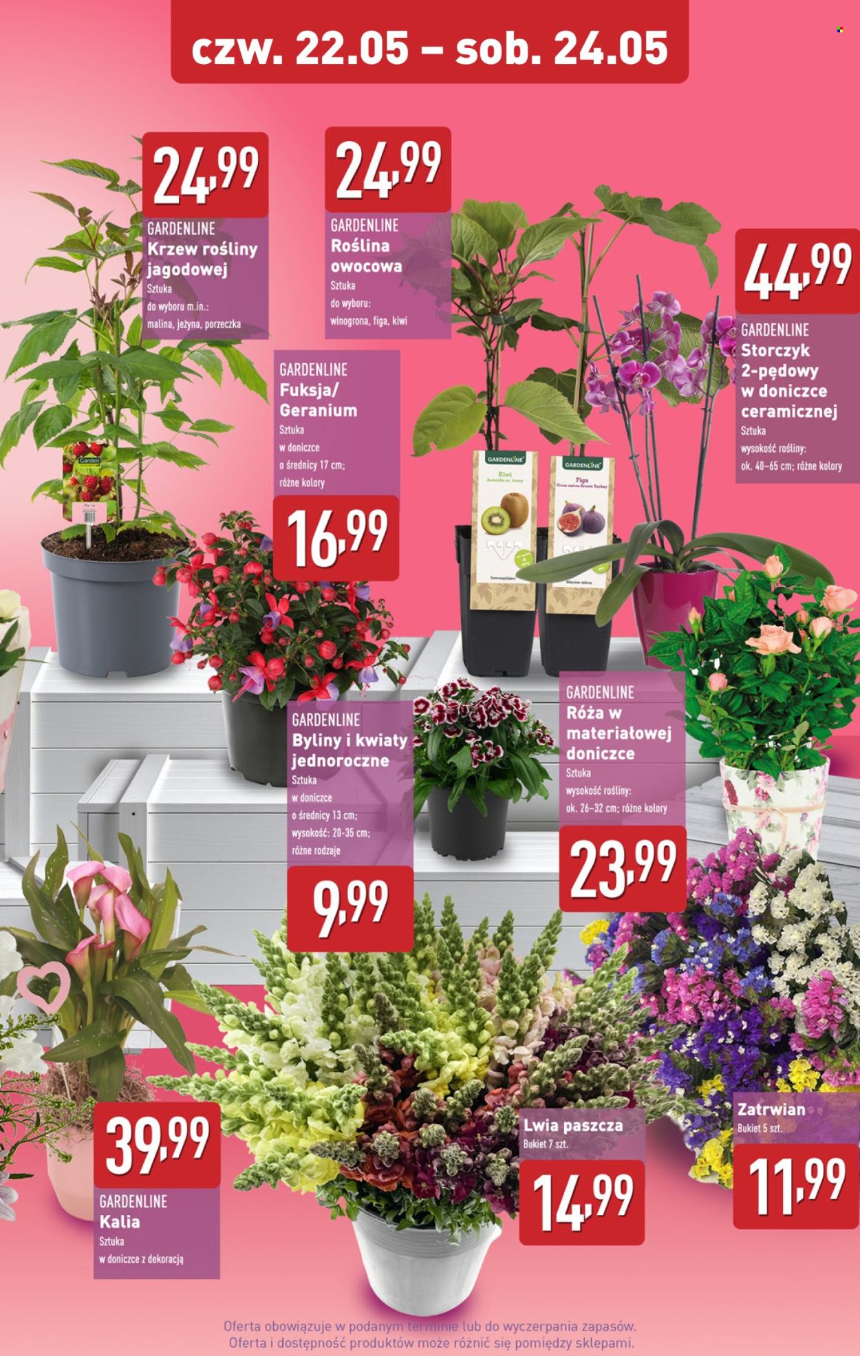 Gazetka ALDI - 22.05.2025 - 24.05.2025. Strona 9