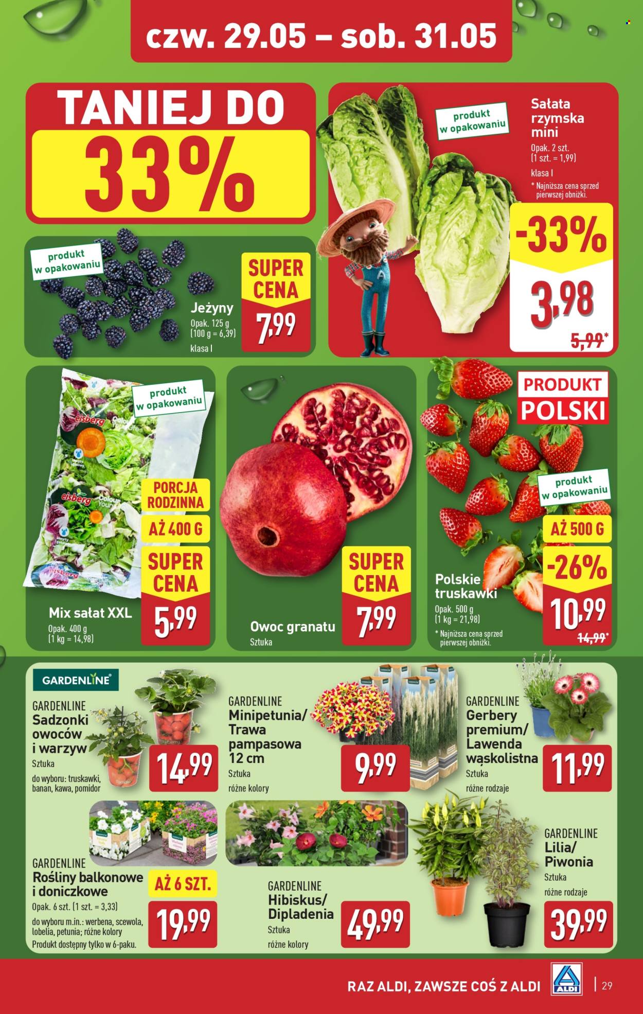 Gazetka ALDI - 26.05.2025 - 31.05.2025. Strona 29