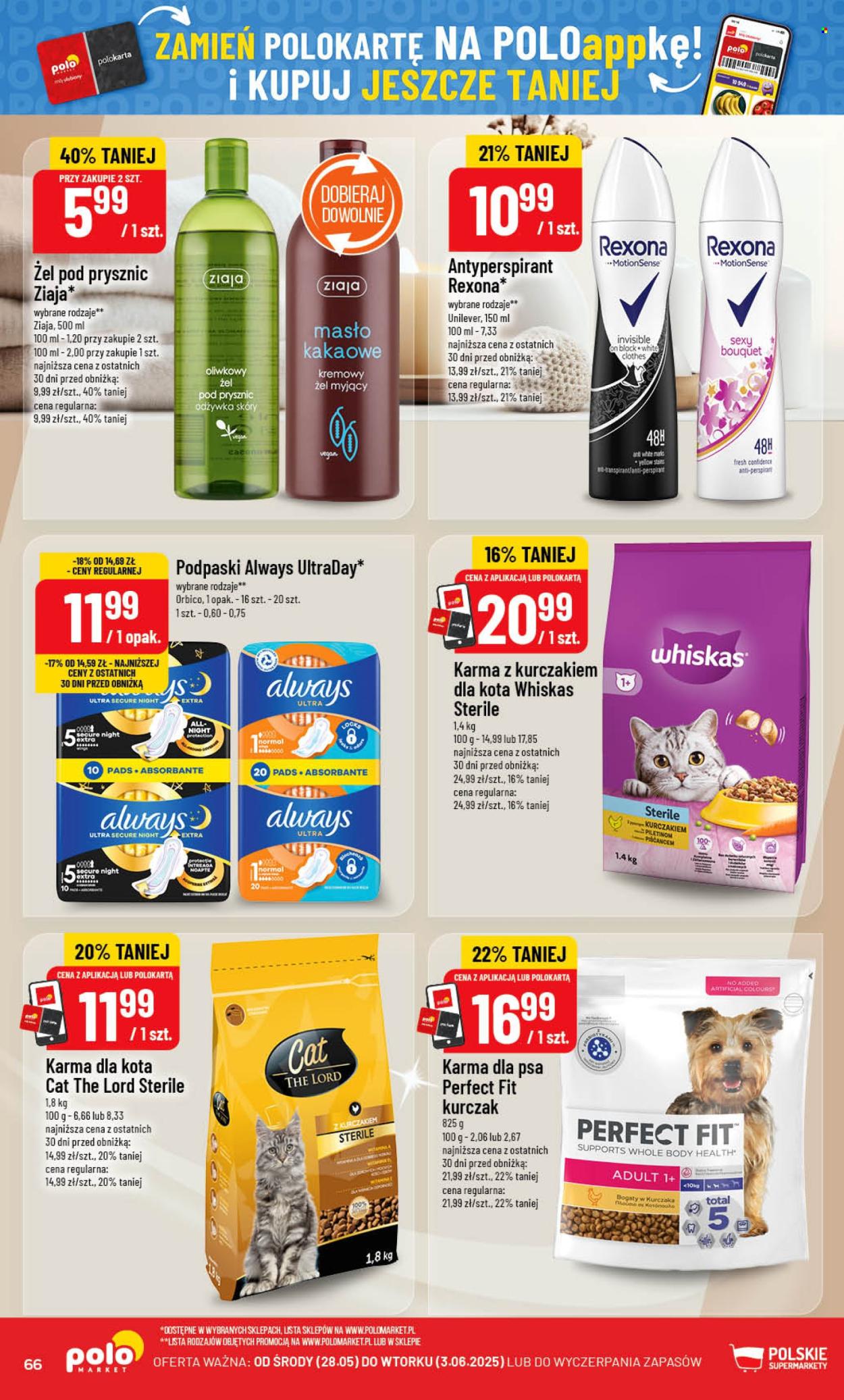 Gazetka Polomarket - 28.05.2025 - 3.06.2025. Strona 66