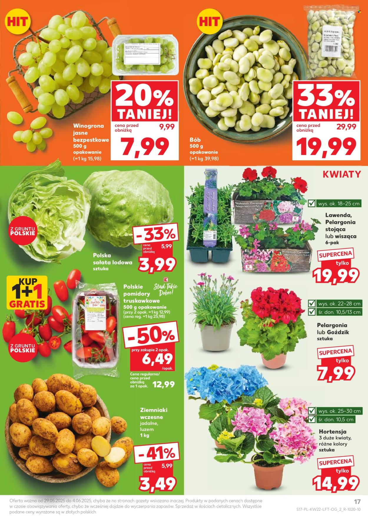 Gazetka Kaufland - 29.05.2025 - 4.06.2025. Strona 17