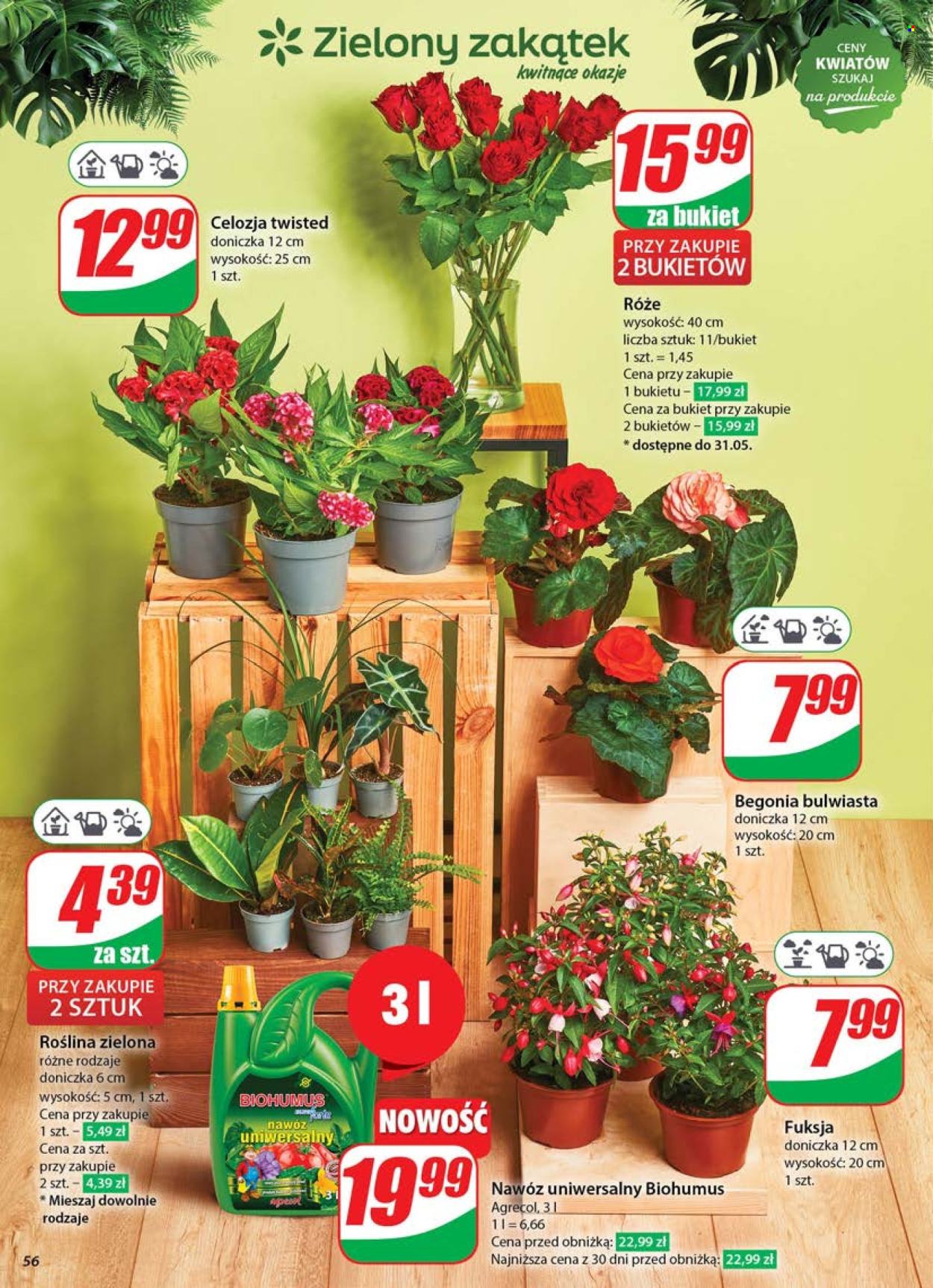 Gazetka Dino - 28.05.2025 - 3.06.2025. Strona 56