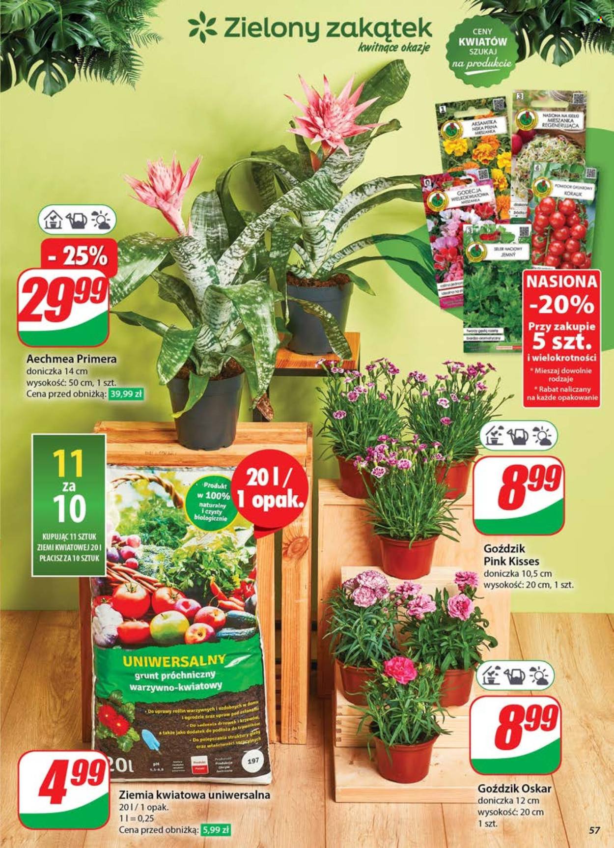 Gazetka Dino - 28.05.2025 - 3.06.2025. Strona 57