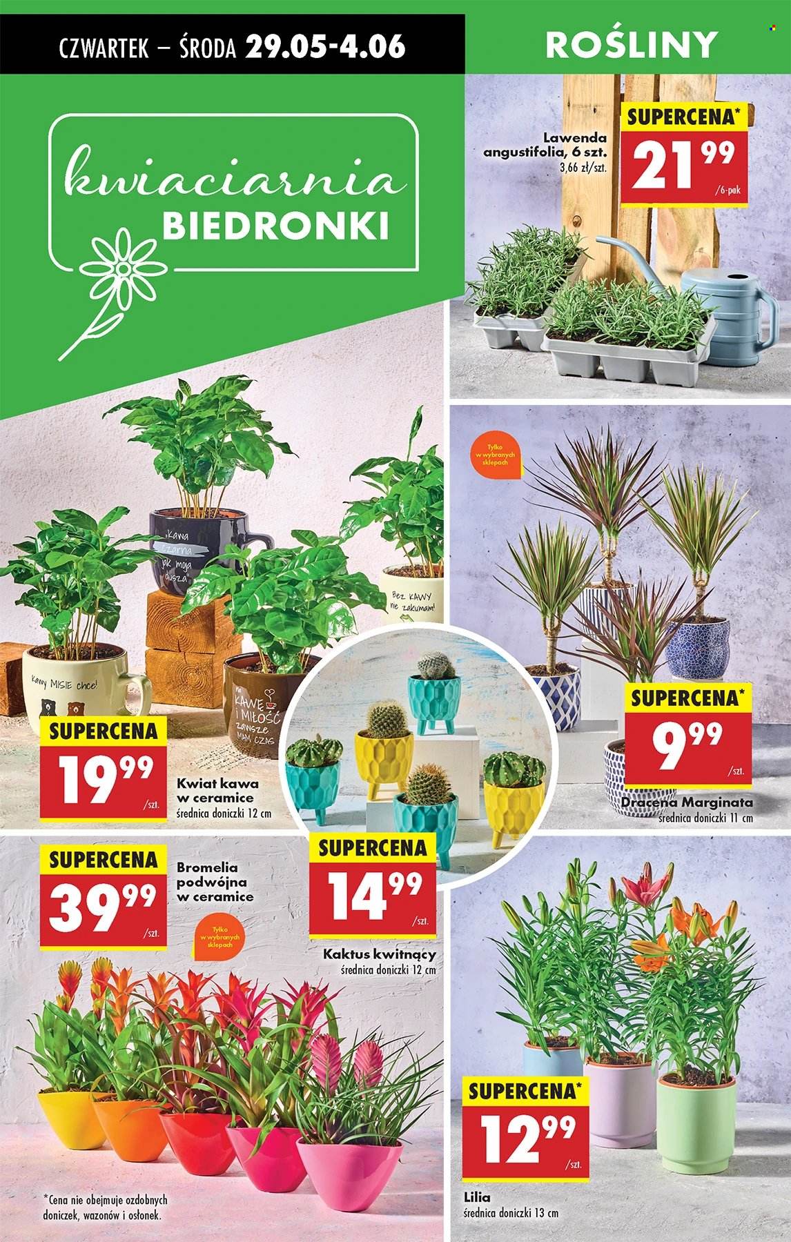 Gazetka Biedronka - 29.05.2025 - 4.06.2025. Strona 61