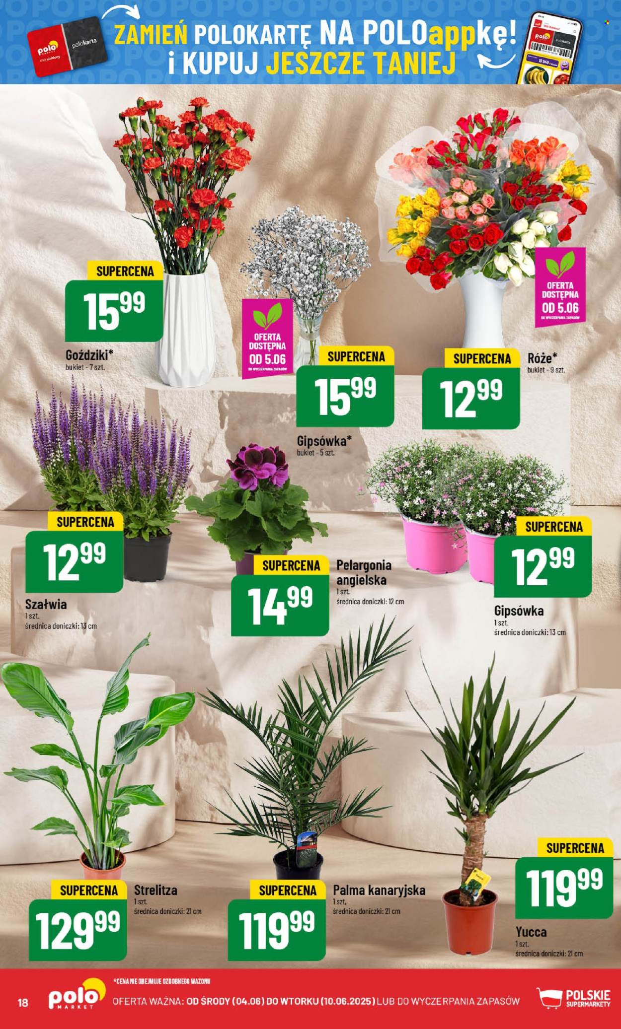 Gazetka Polomarket - 4.06.2025 - 10.06.2025. Strona 18