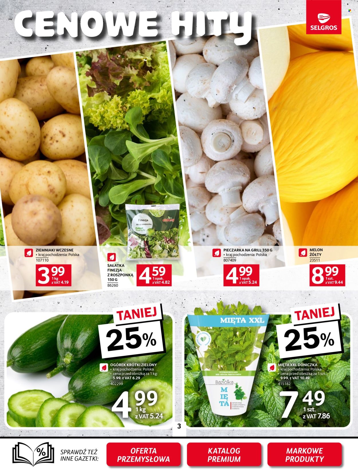Gazetka Selgros - 5.06.2025 - 17.06.2025. Strona 3