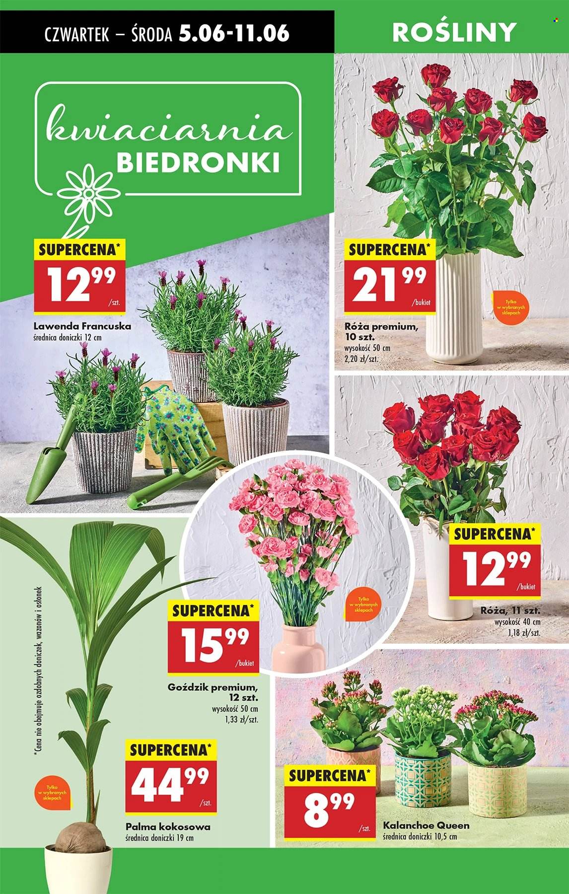 Gazetka Biedronka - 5.06.2025 - 11.06.2025. Strona 62