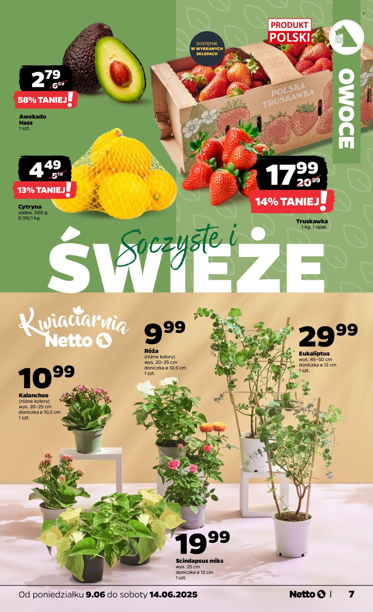 Gazetka Netto - 9.06.2025 - 14.06.2025. Strona 7