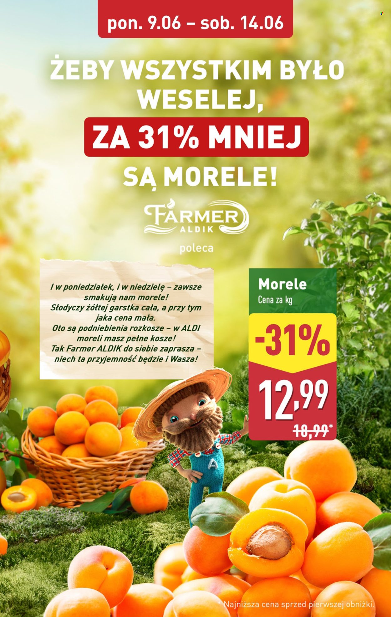 Gazetka ALDI - 9.06.2025 - 14.06.2025. Strona 5
