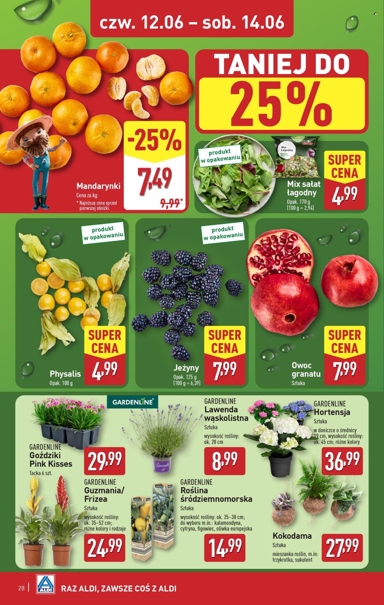 Gazetka ALDI - 9.06.2025 - 14.06.2025. Strona 28