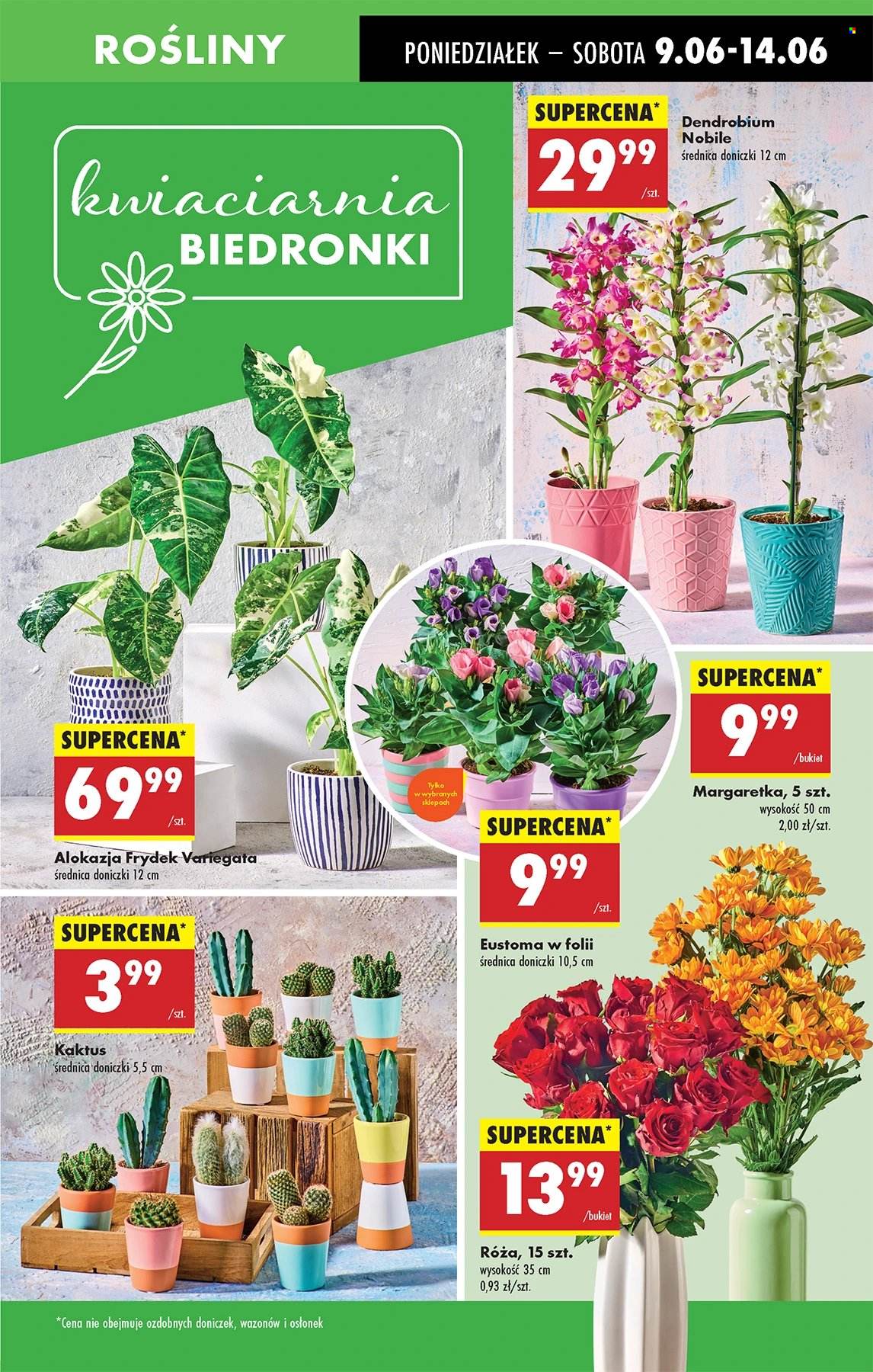 Gazetka Biedronka - 9.06.2025 - 14.06.2025. Strona 19