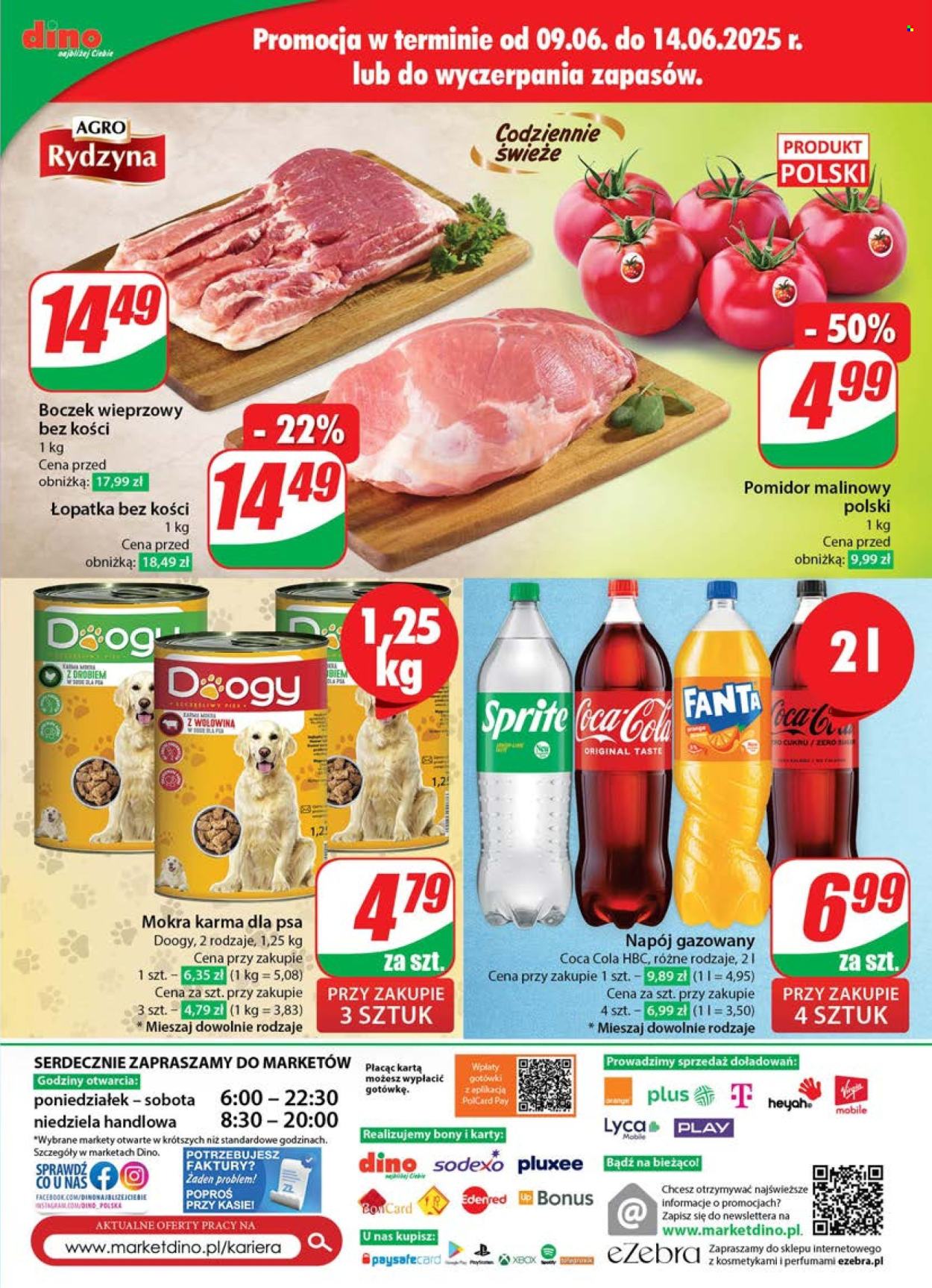Gazetka Dino - 11.06.2025 - 17.06.2025. Strona 73