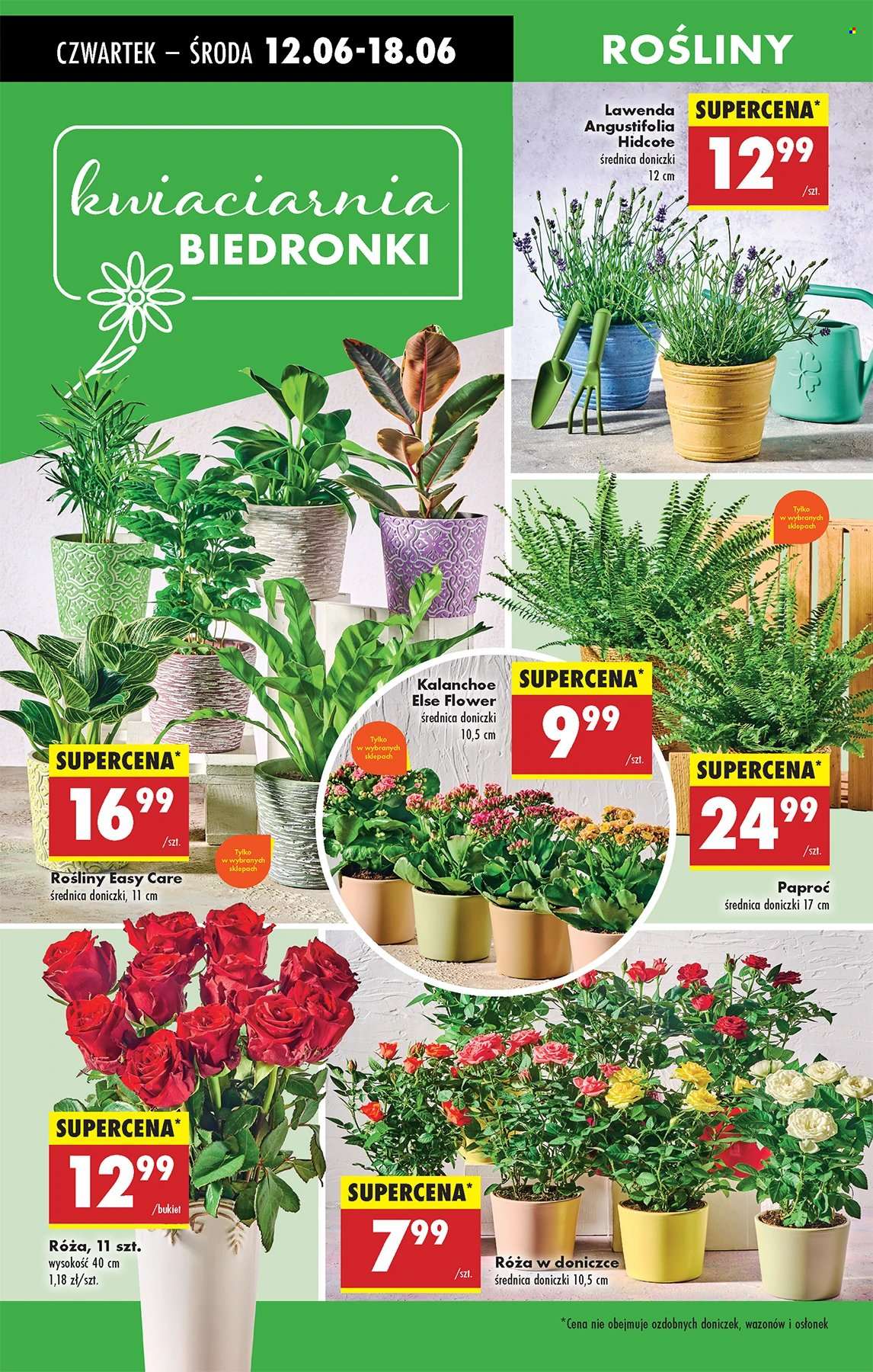 Gazetka Biedronka - 12.06.2025 - 18.06.2025. Strona 52