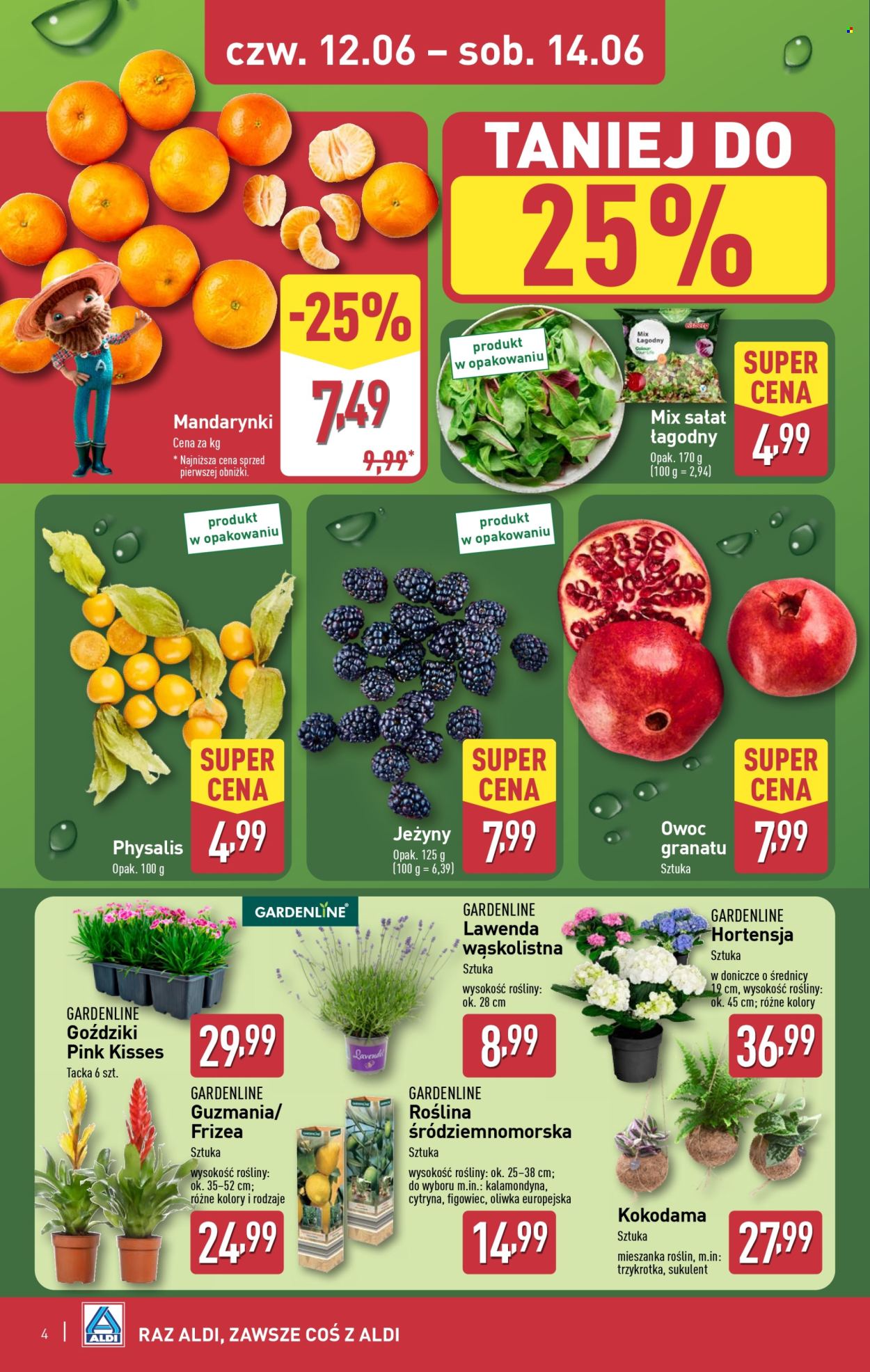 Gazetka ALDI - 12.06.2025 - 14.06.2025. Strona 4