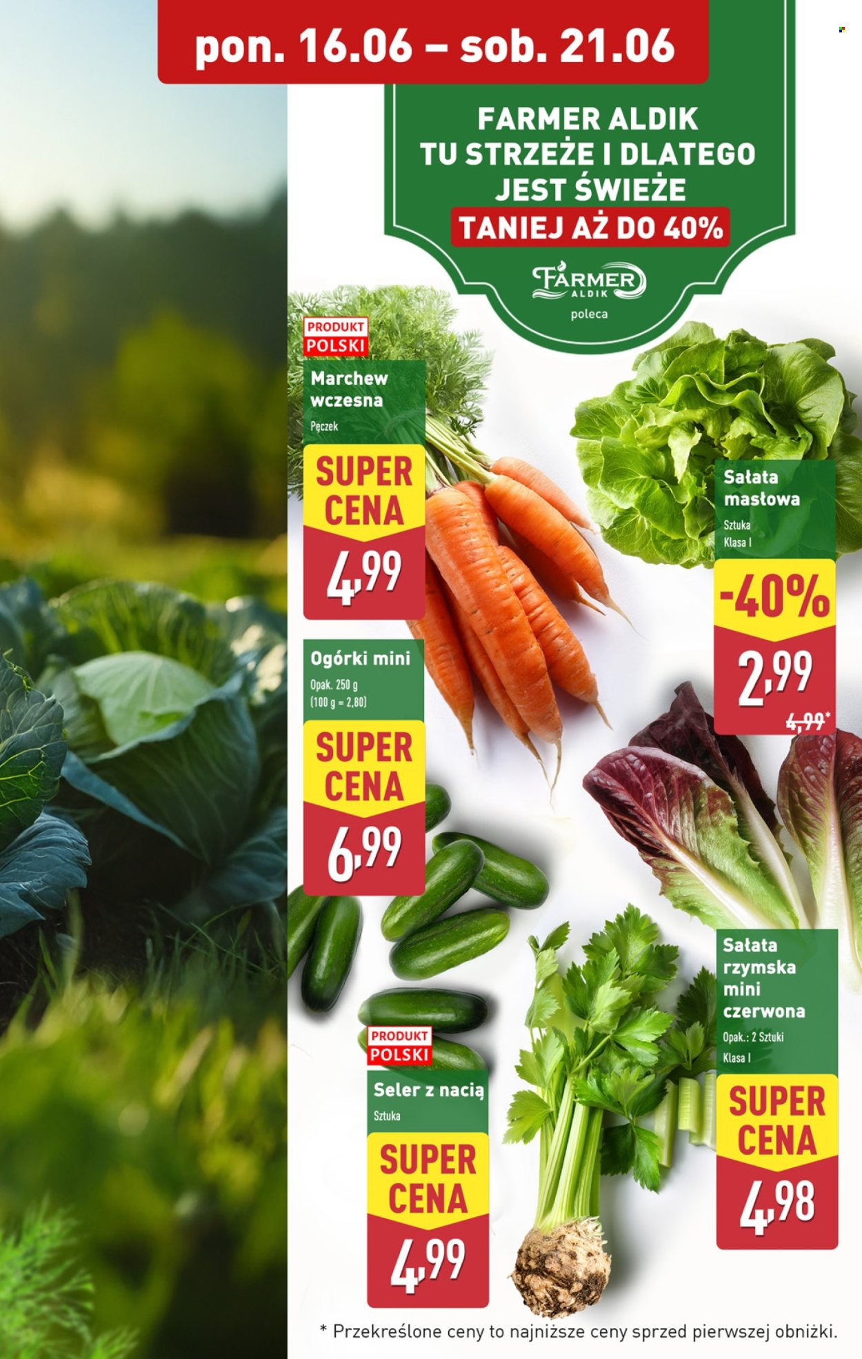 Gazetka ALDI - 16.06.2025 - 21.06.2025. Strona 5