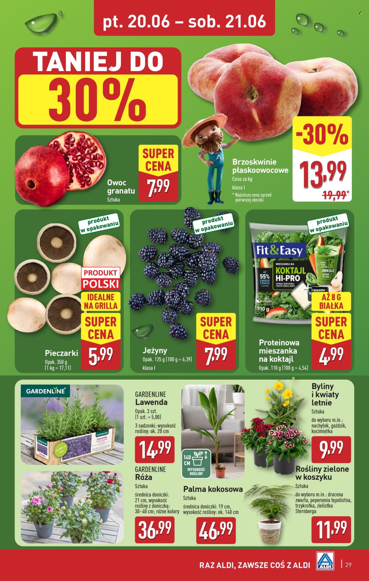 Gazetka ALDI - 16.06.2025 - 21.06.2025. Strona 29