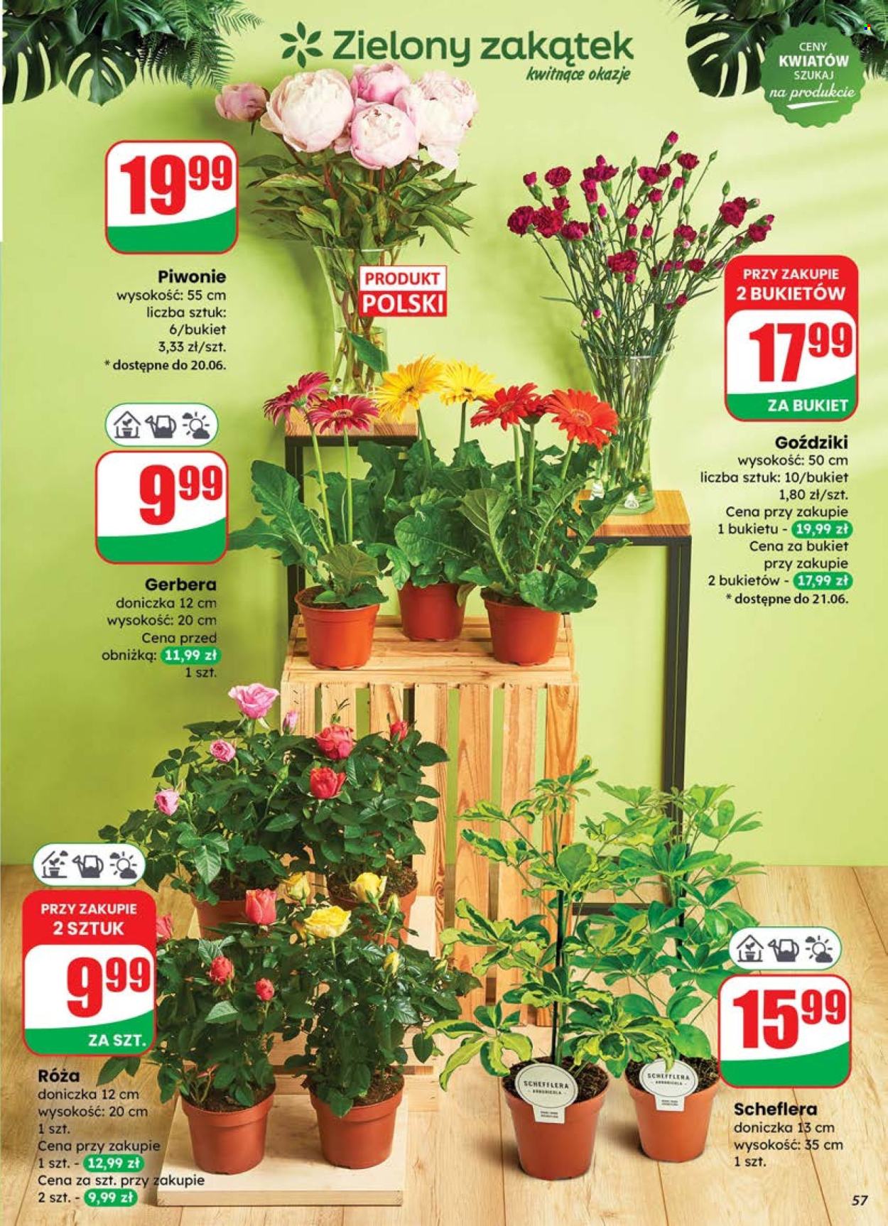 Gazetka Dino - 18.06.2025 - 24.06.2025. Strona 57