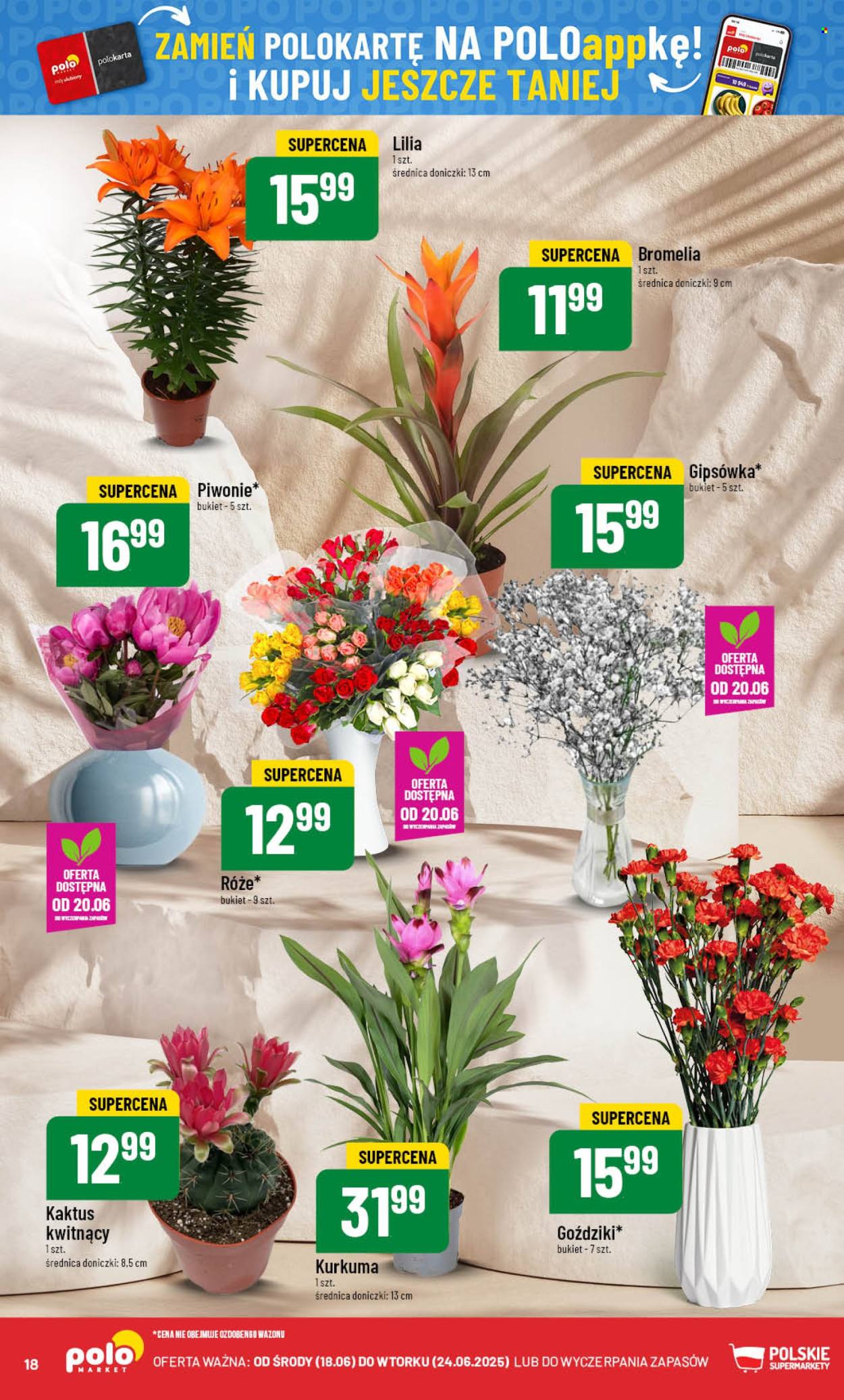 Gazetka Polomarket - 18.06.2025 - 24.06.2025. Strona 18