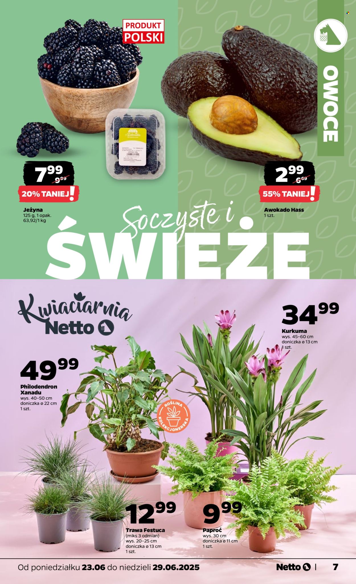 Gazetka Netto - 23.06.2025 - 29.06.2025. Strona 7