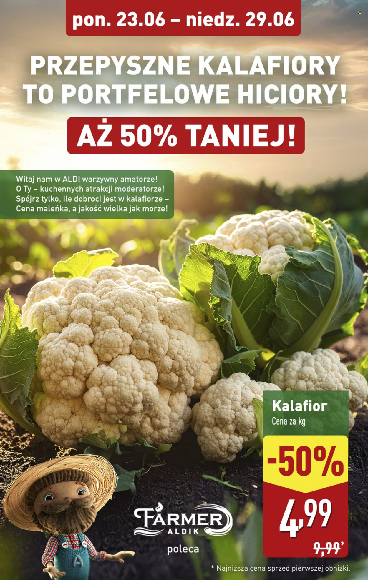 Gazetka ALDI - 23.06.2025 - 29.06.2025. Strona 4