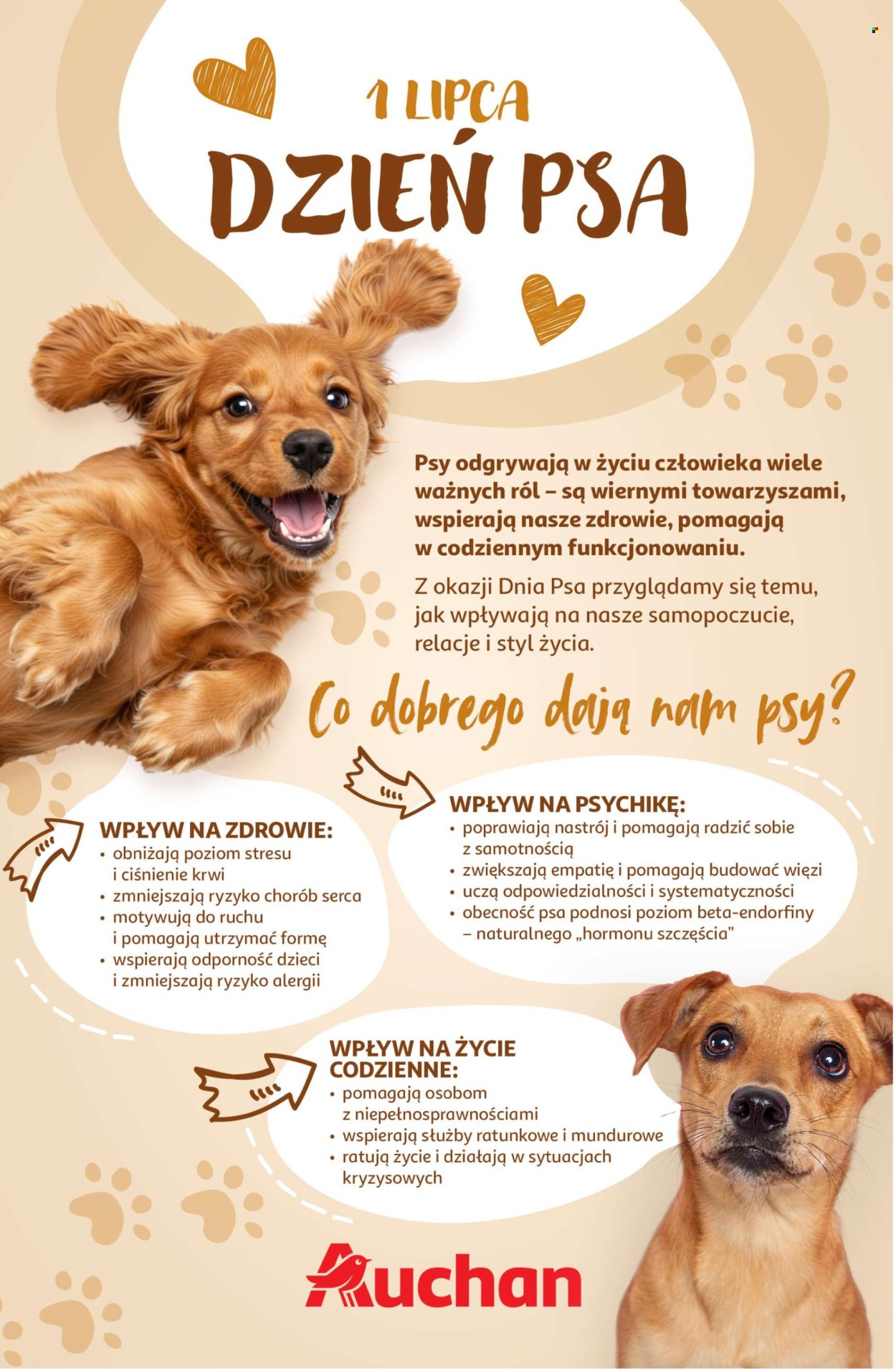 Gazetka Auchan - 26.06.2025 - 2.07.2025. Strona 32